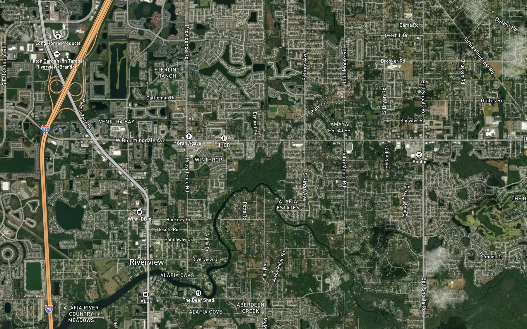 Satellite map of the Buckhorn Spring