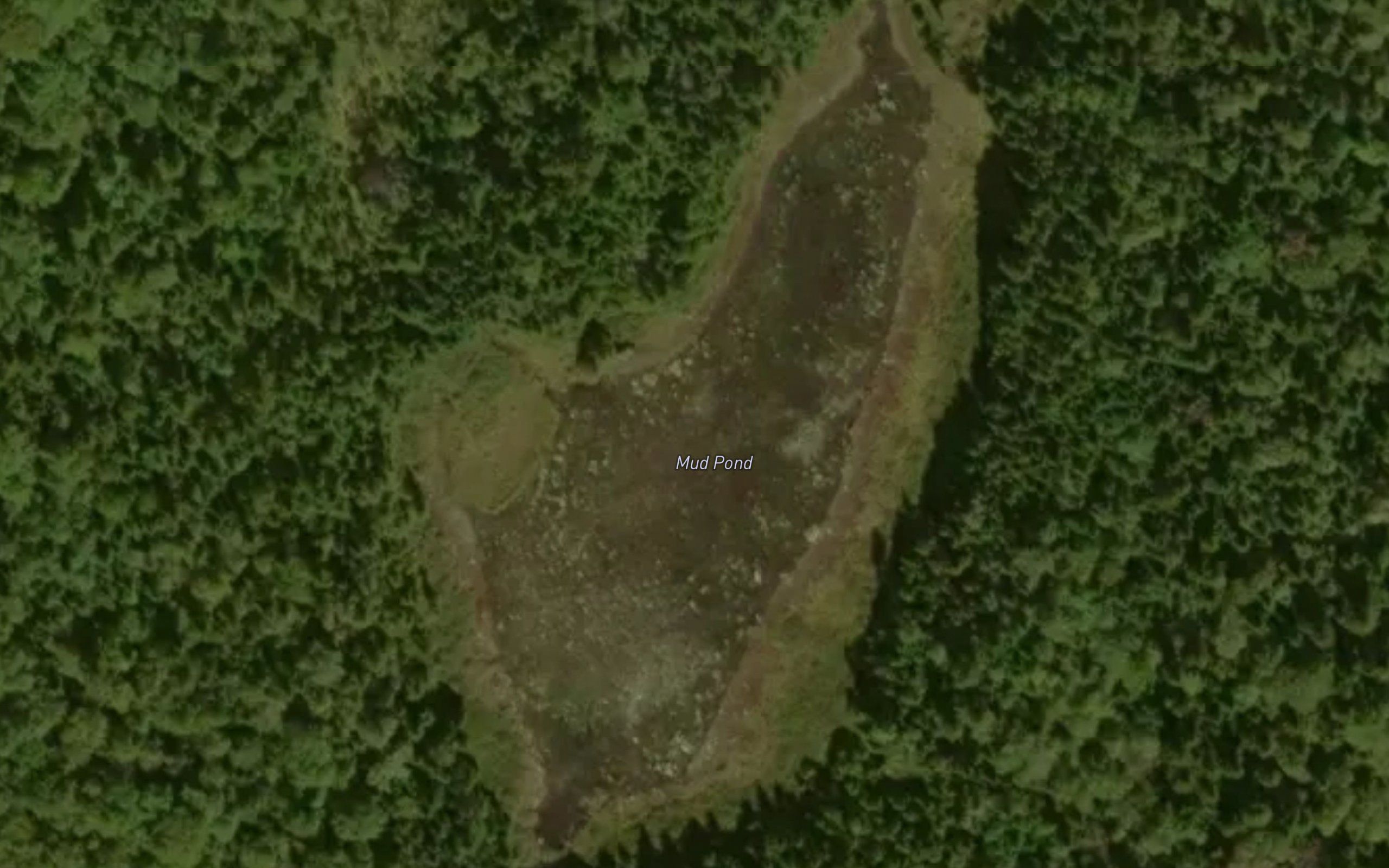 Mud Pond