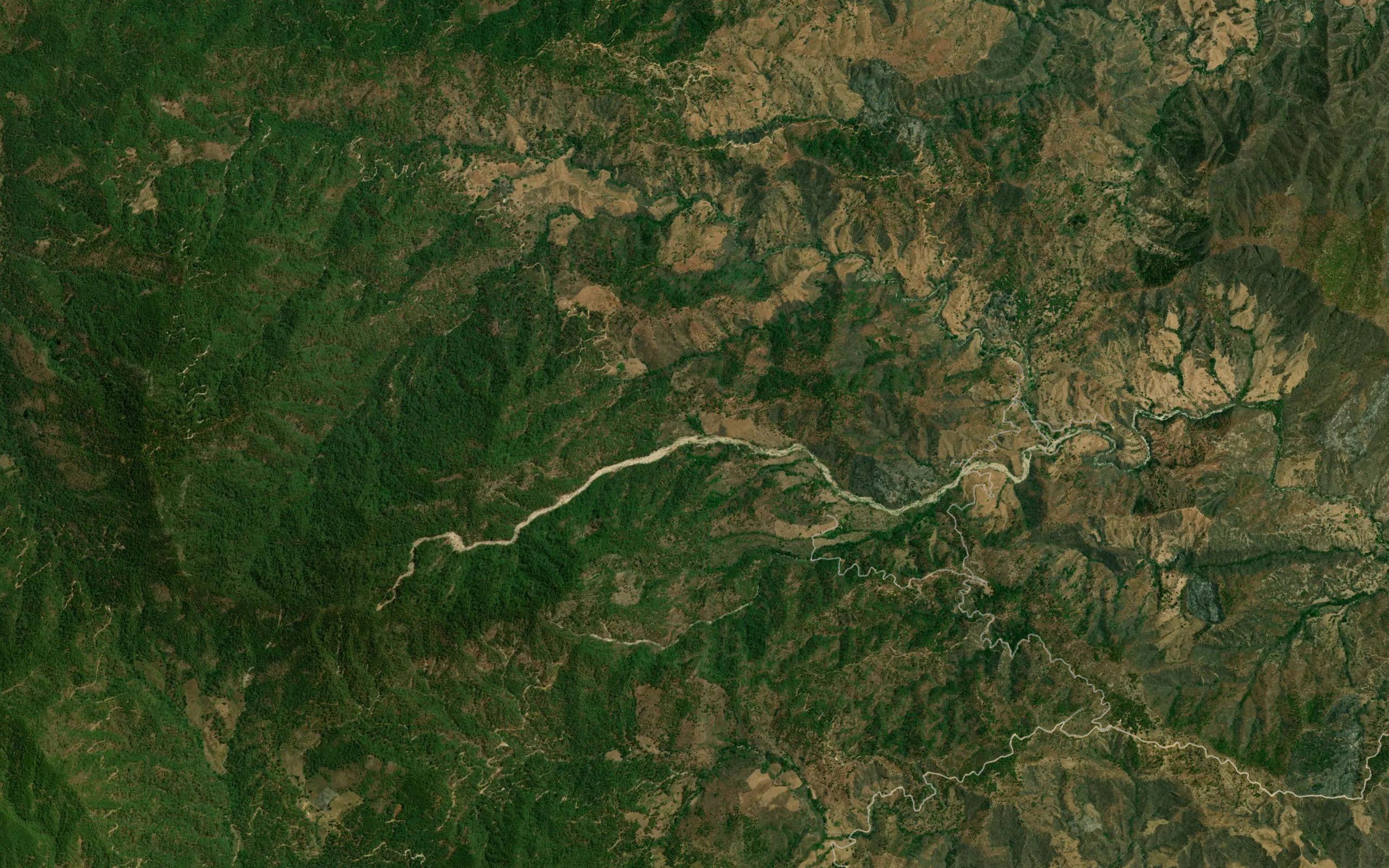 La Palma Real
