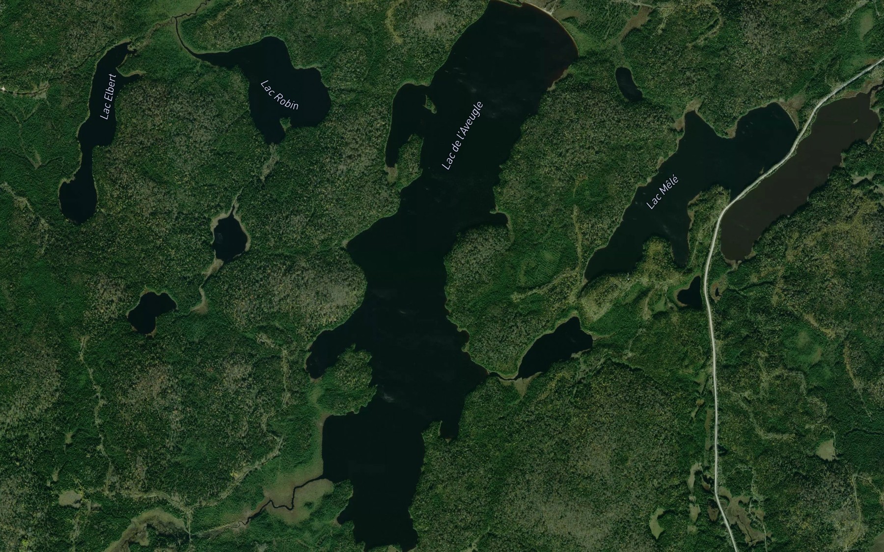 Satellite map of the Lac de l'Aveugle