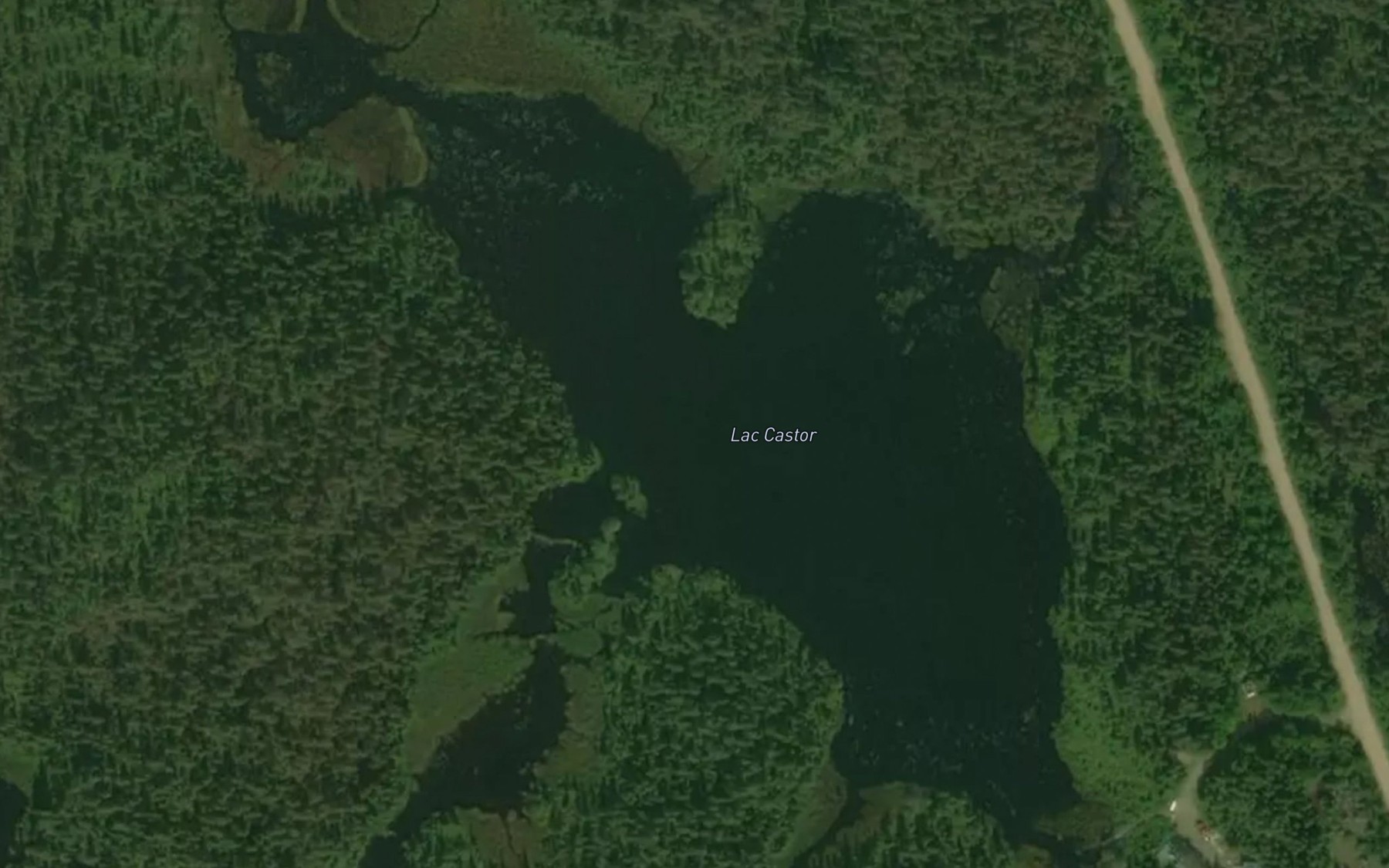 Satellite map of the Lac Castor