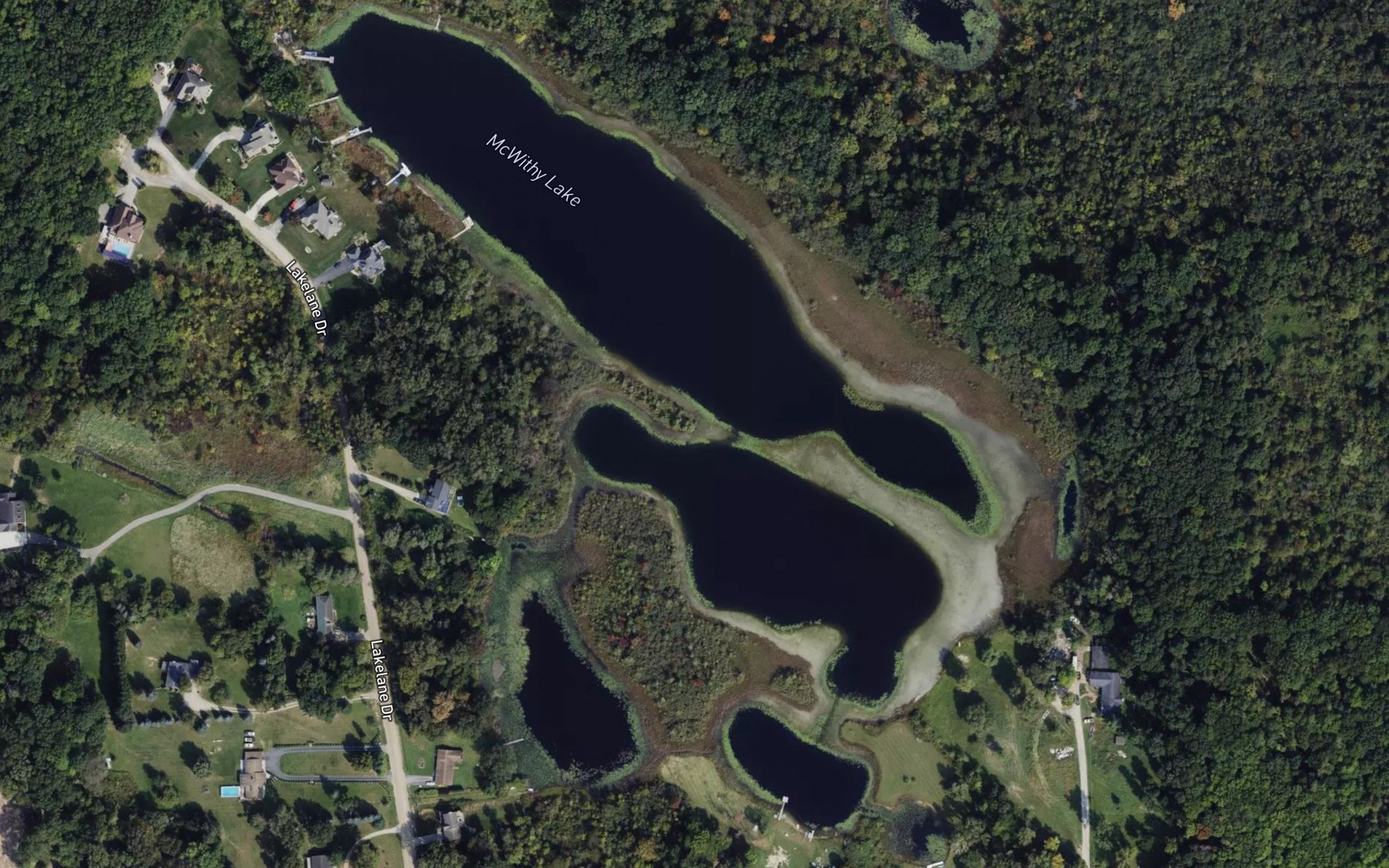 Satellite map of the McWithy Lake