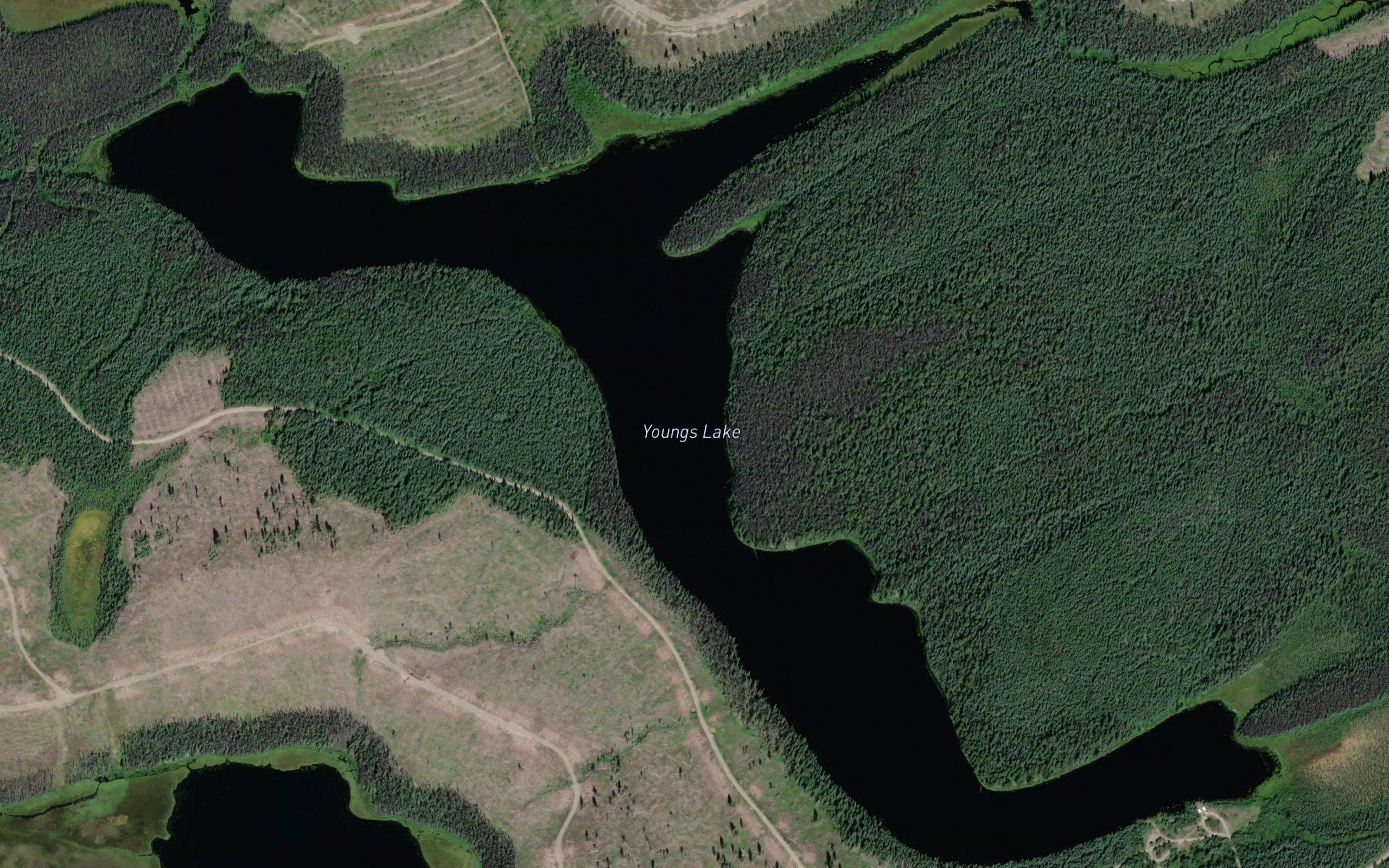 Youngs Lake