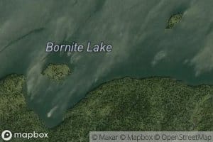 Bornite Lake