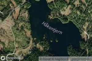Hakontjern