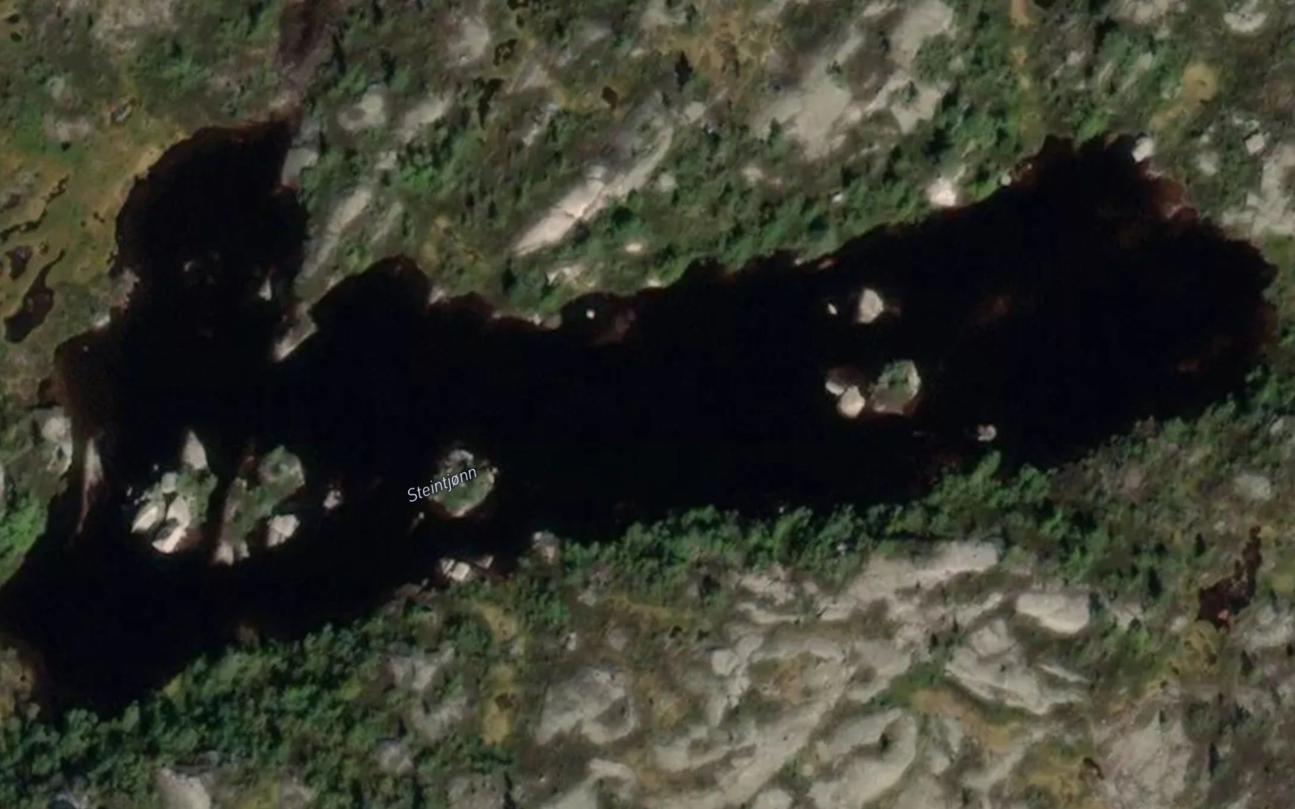 Steintjorn