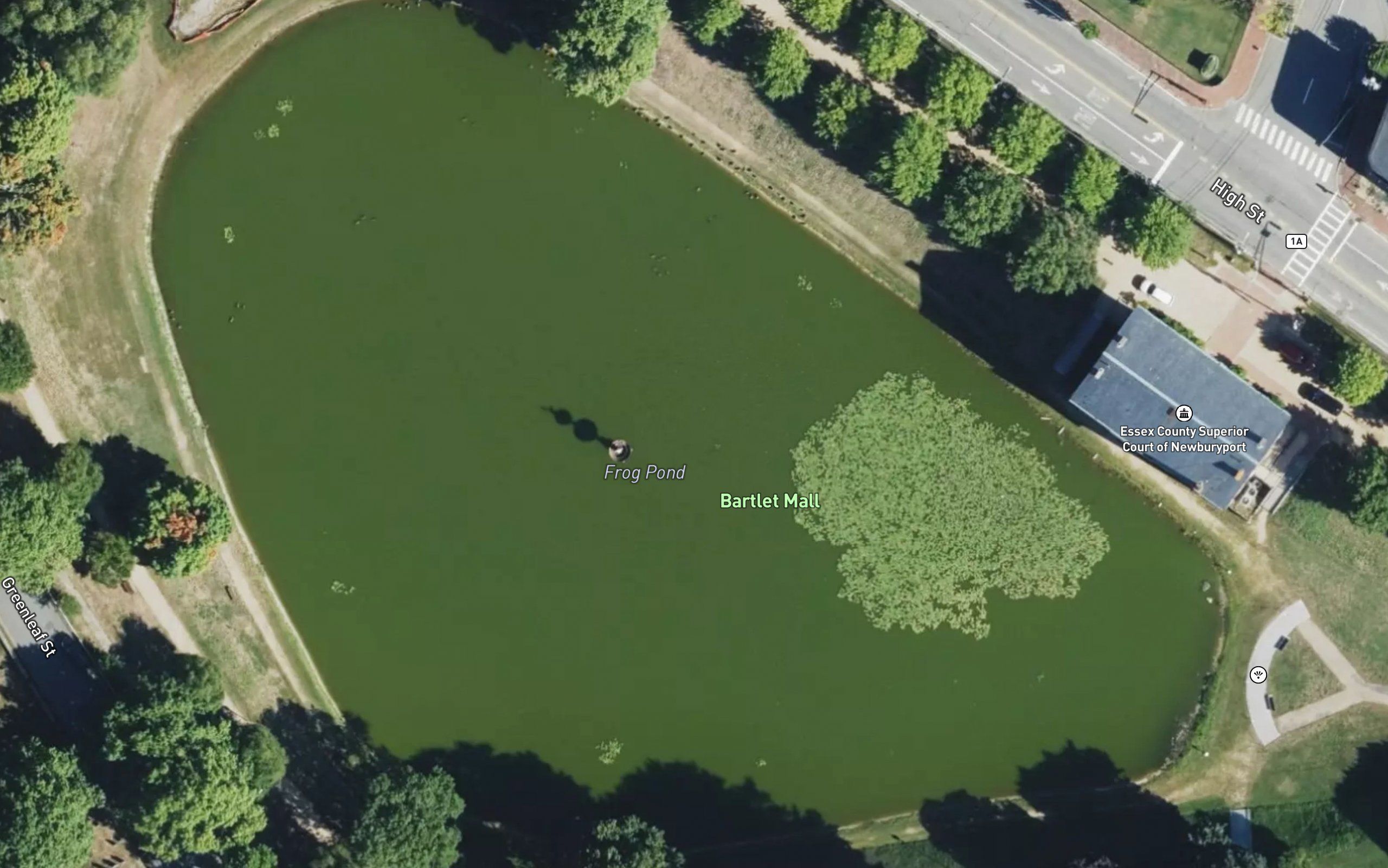 Frog Pond