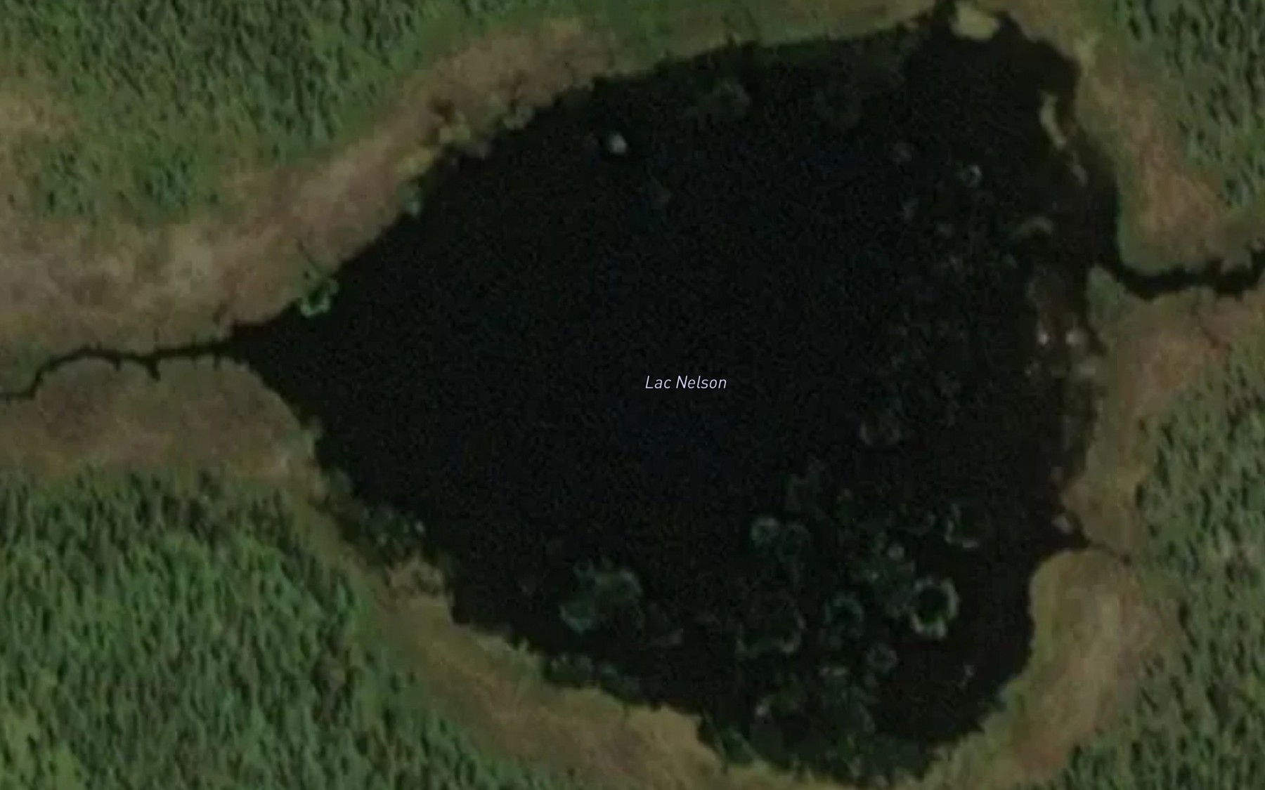 Satellite map of the Lac Nelson