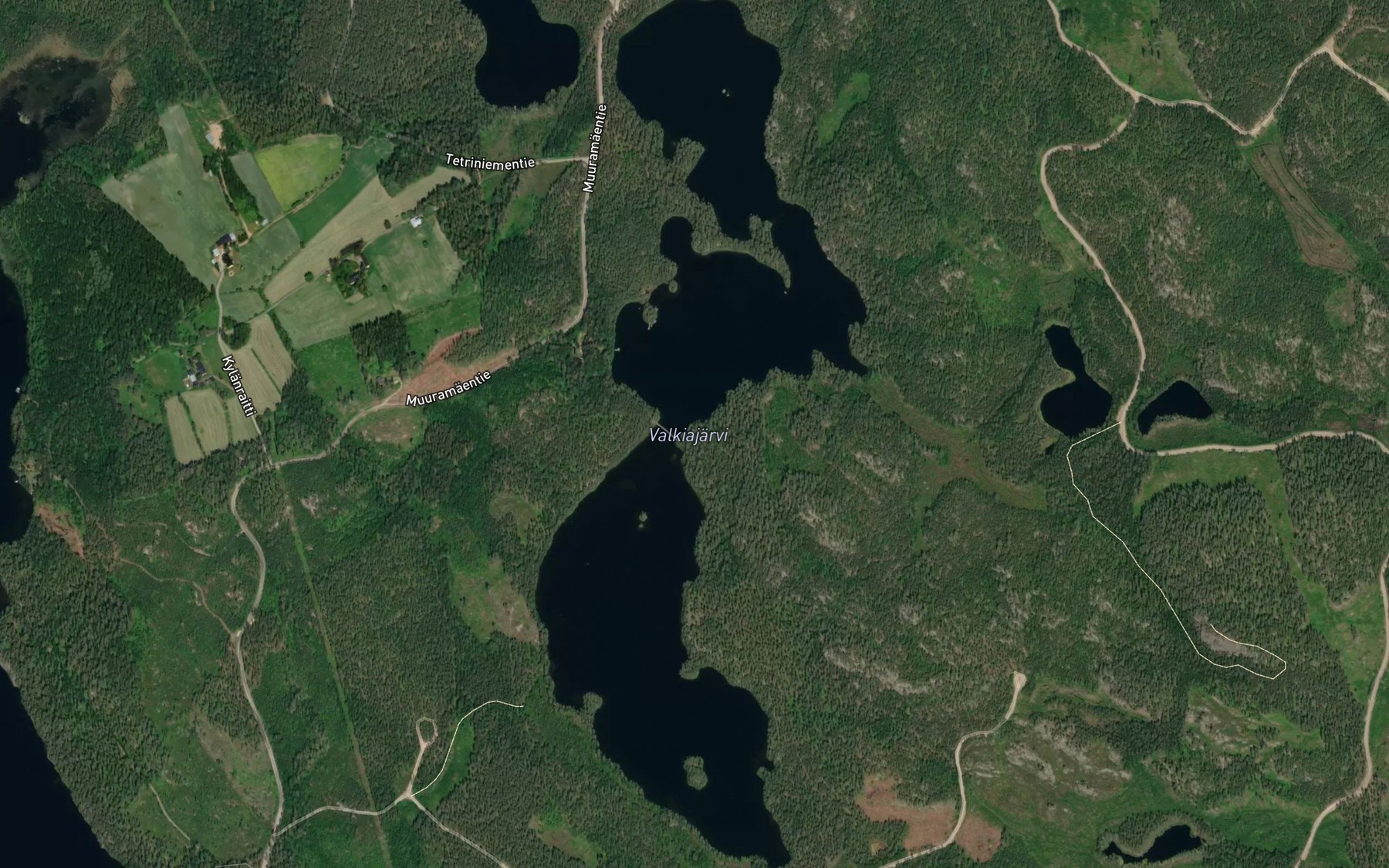 Satellite map of the Valkiajarvi