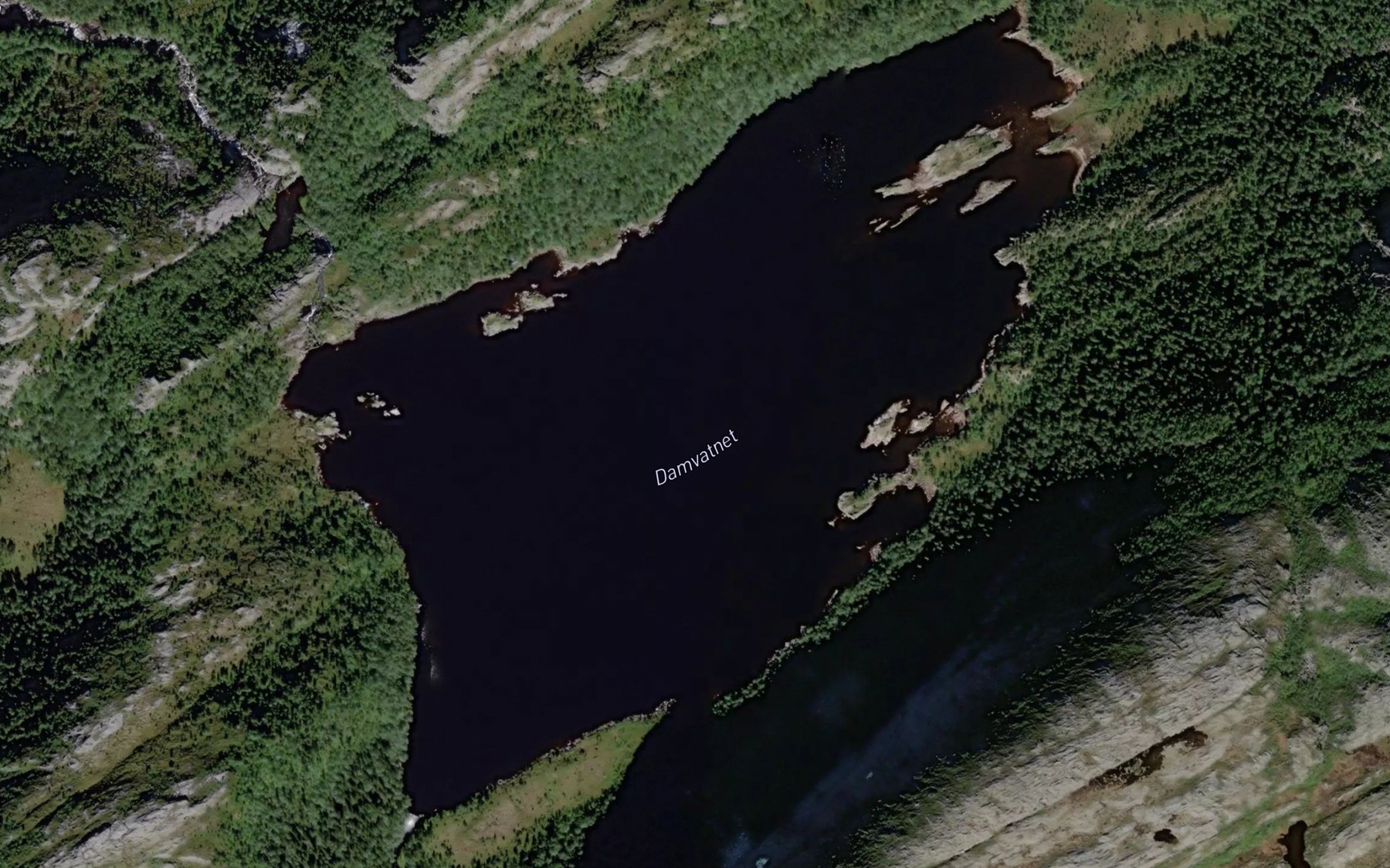 Satellite map of the Damvatnet