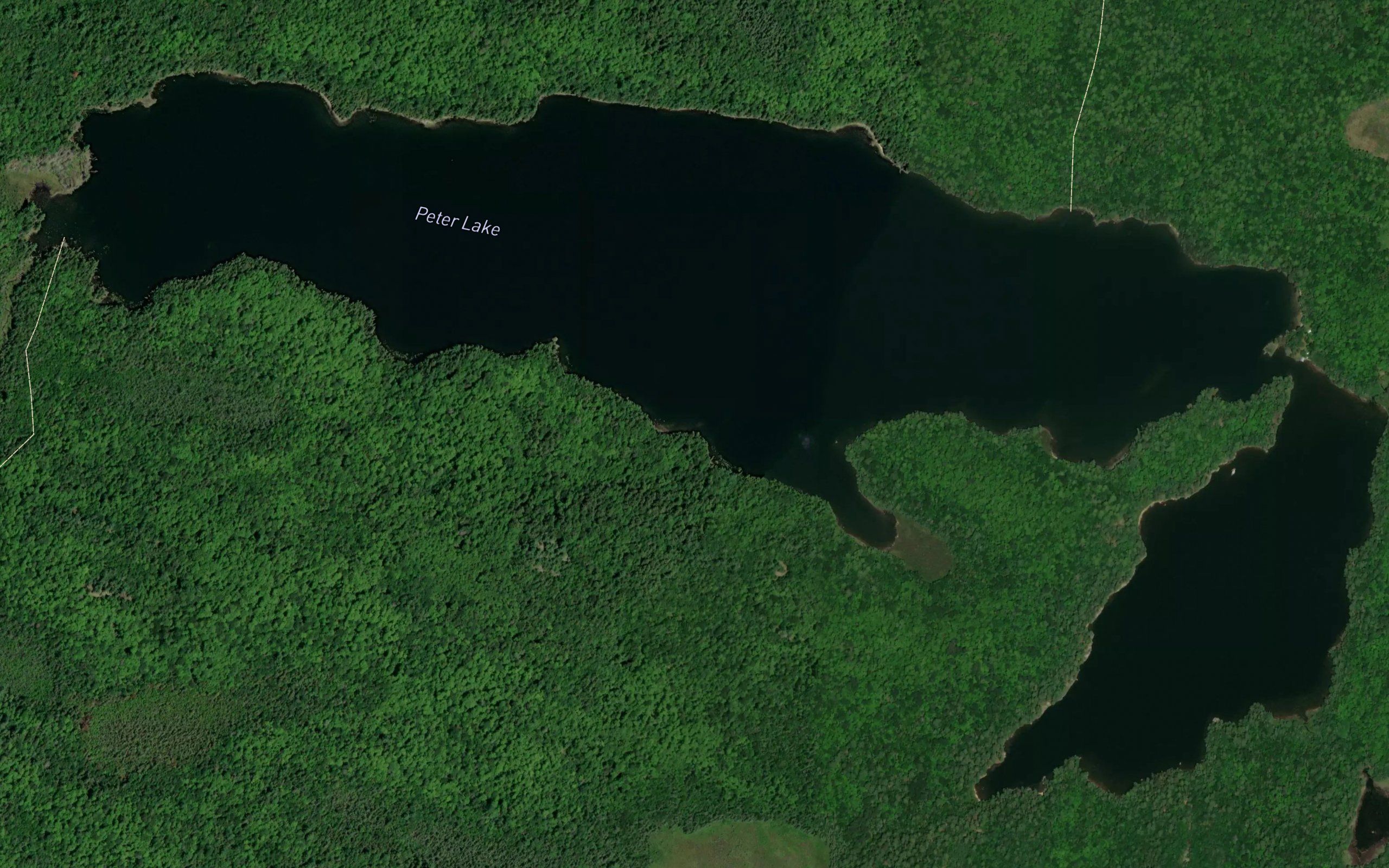 Peter Lake