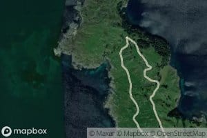 Apalvika