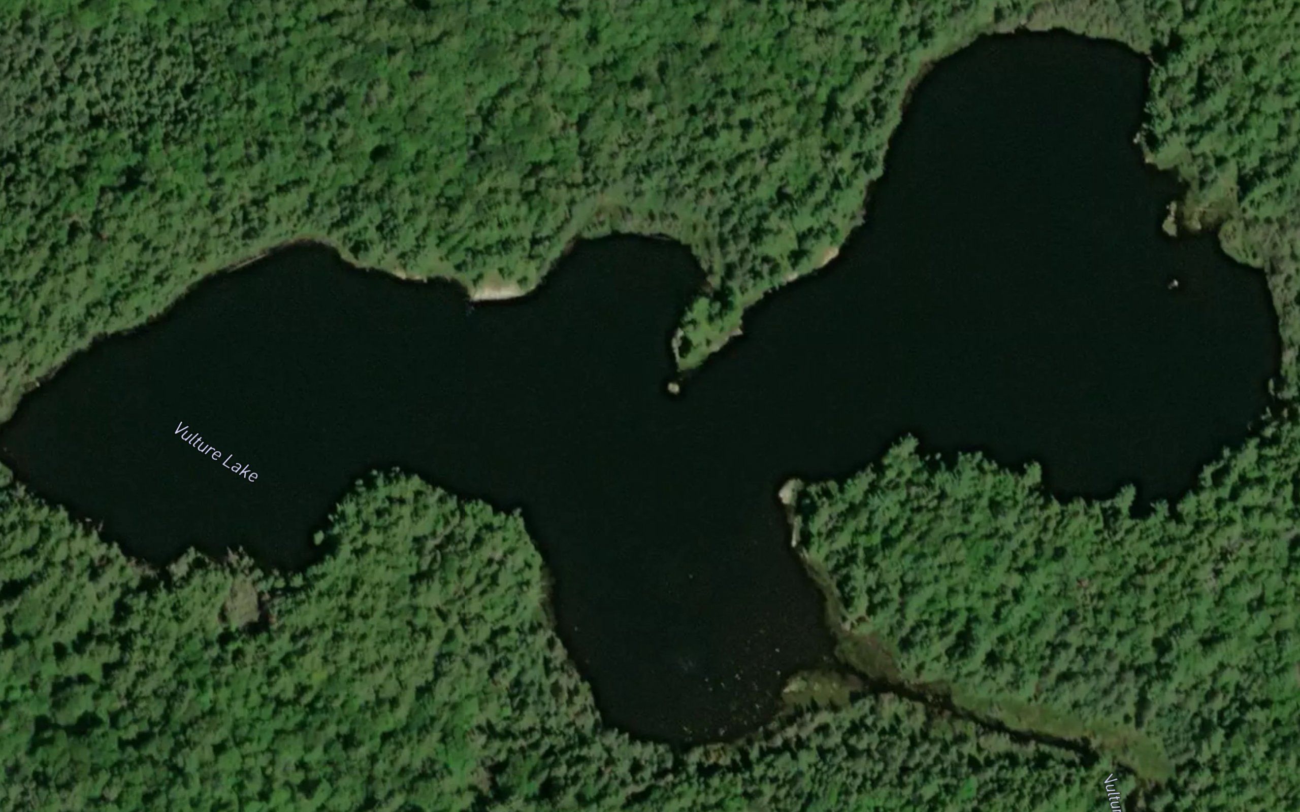 Vulture Lake