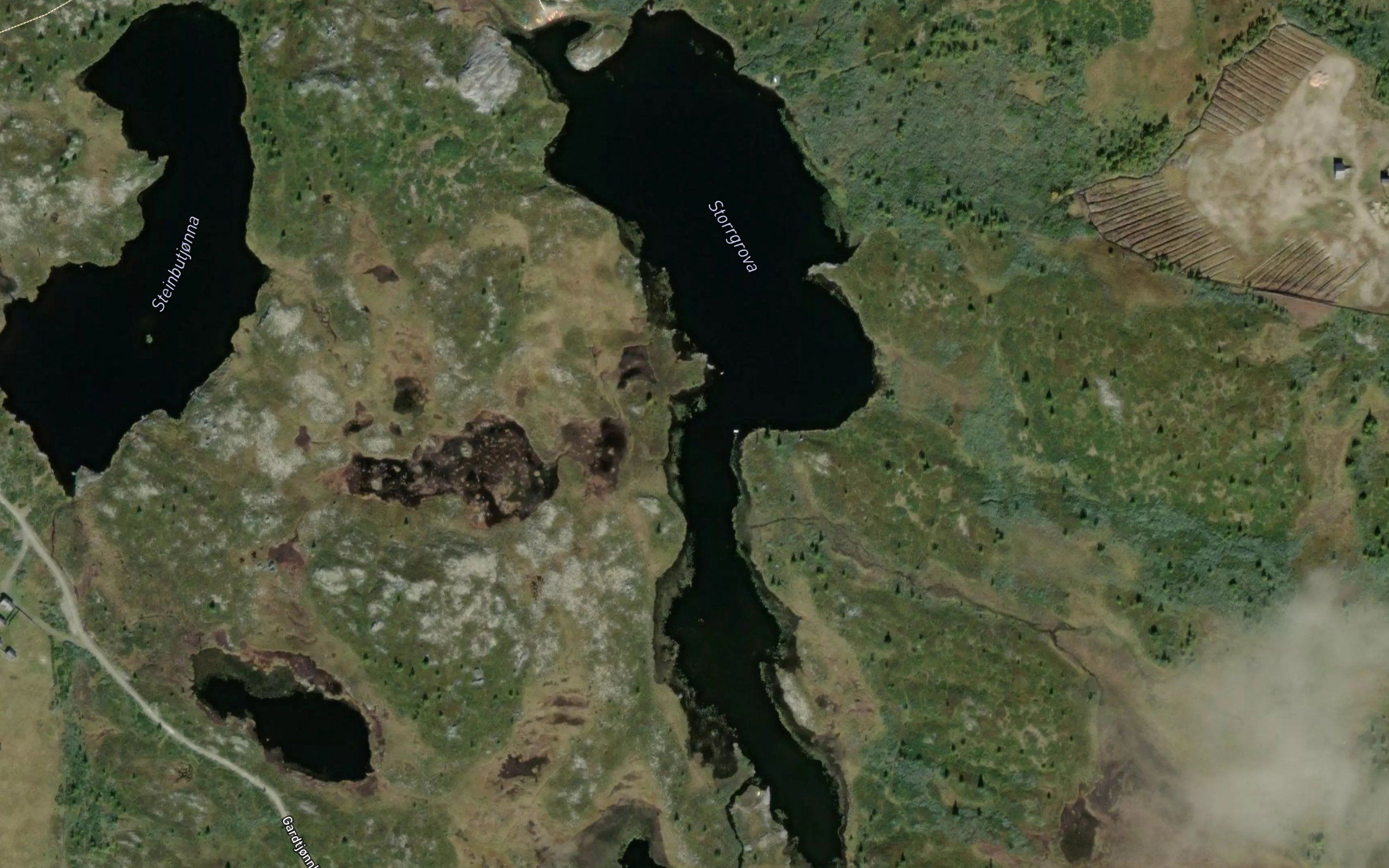 Storrgrova