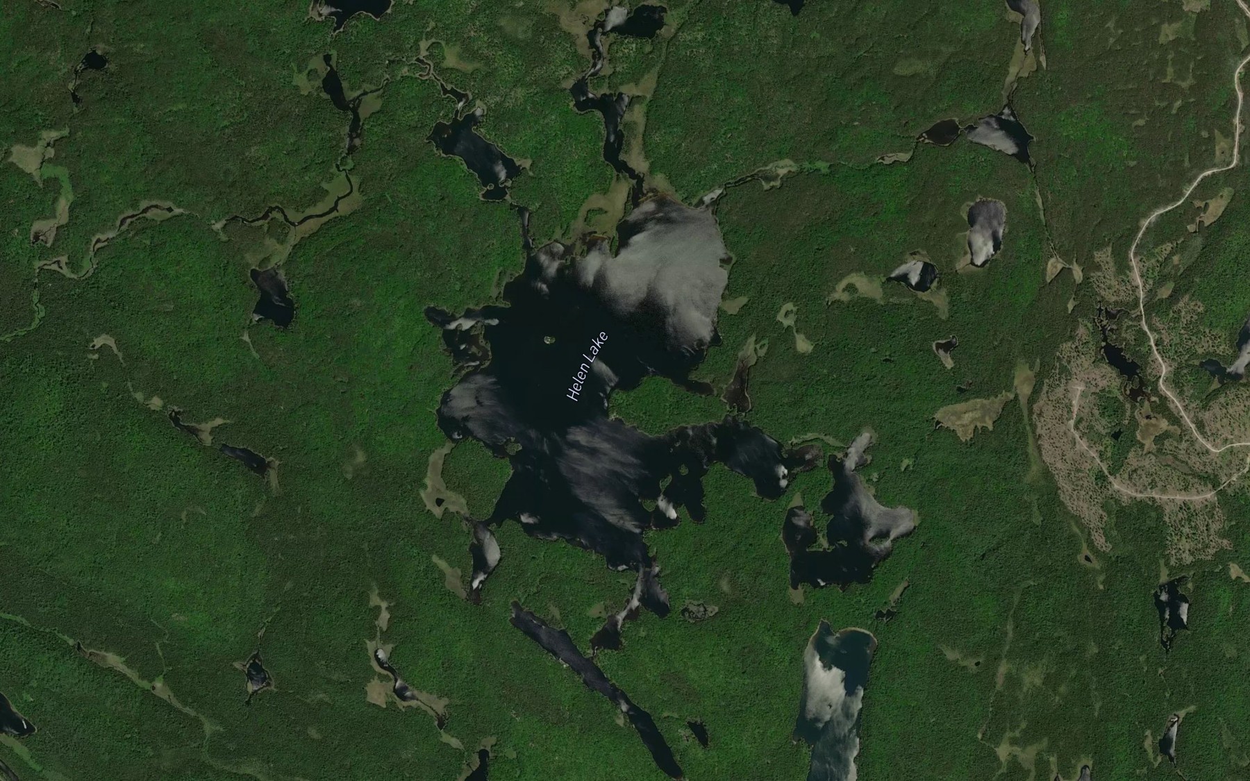 Satellite map of the Helen Lake