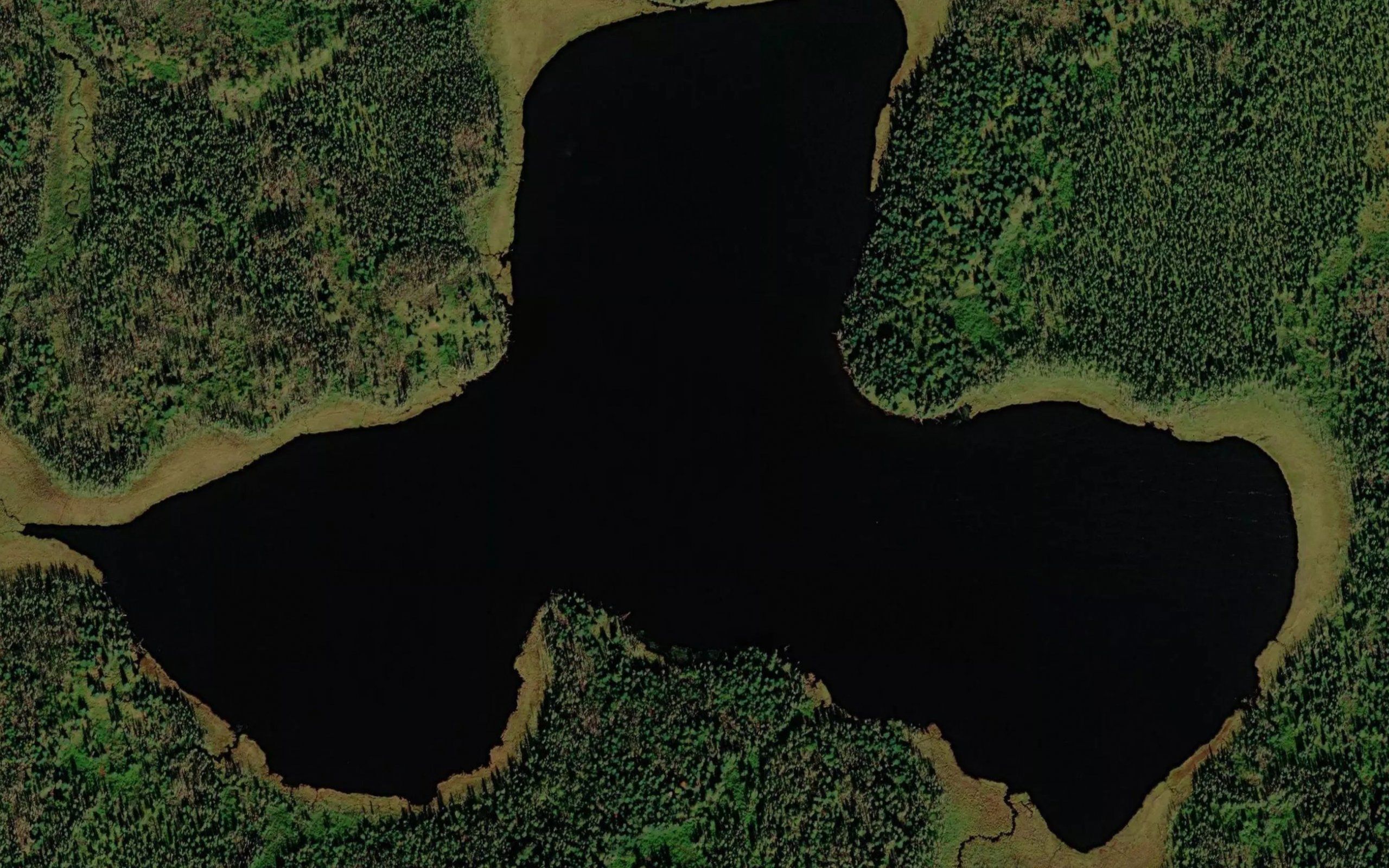 East Rice Lake