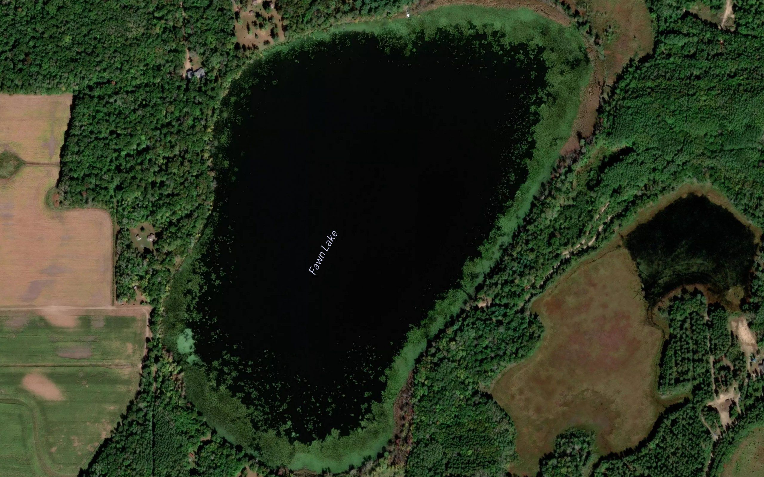 Fawn Lake