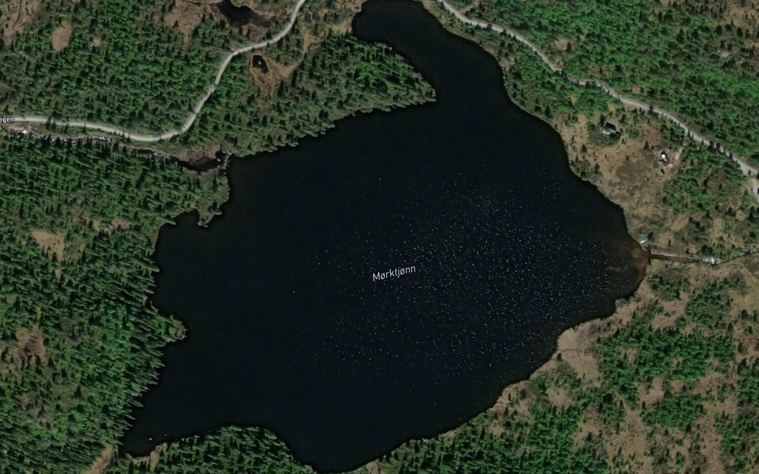 Morketjorn