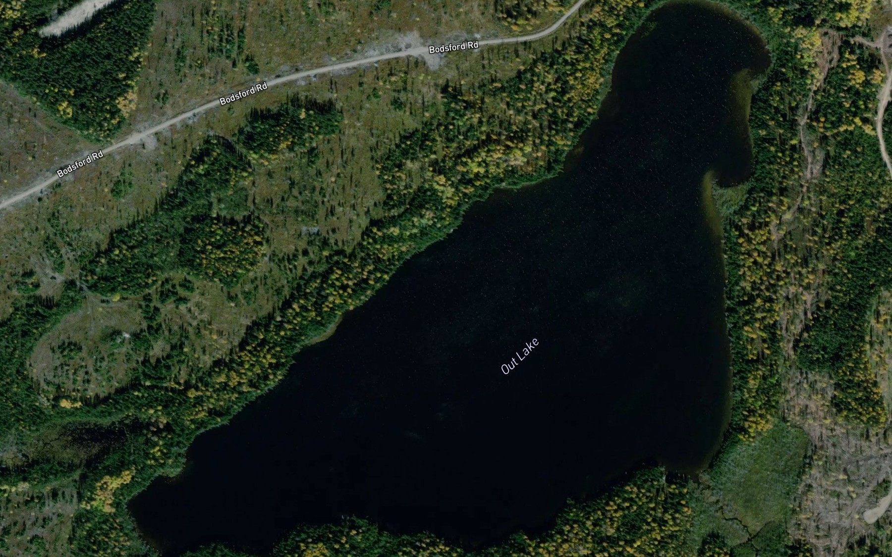 Satellite map of the Out Lake
