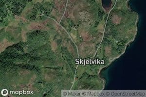 Skjelvikelva