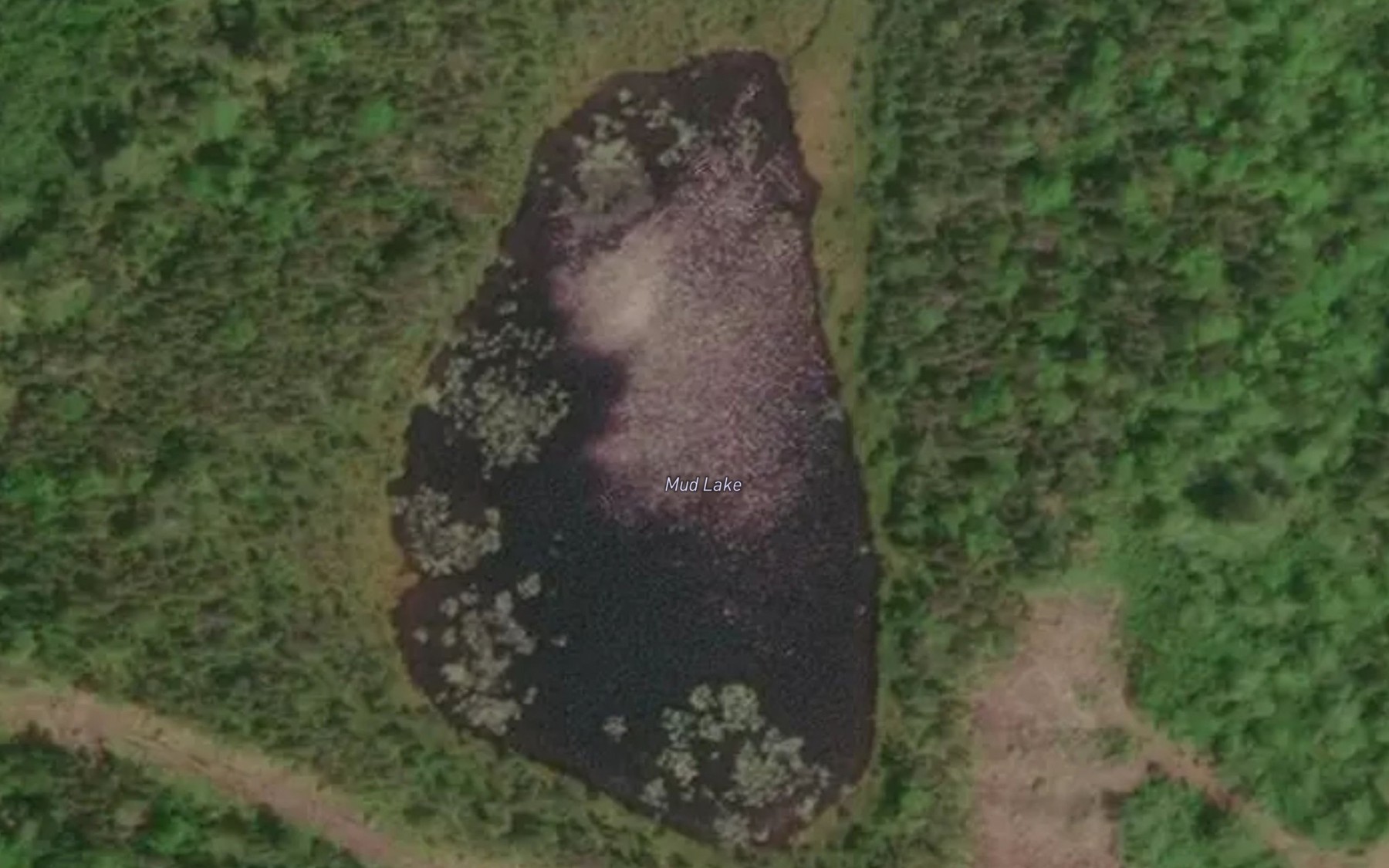 Satellite map of the Mud Lake