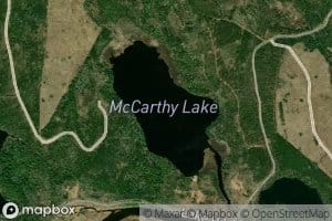 McCarthy Lake