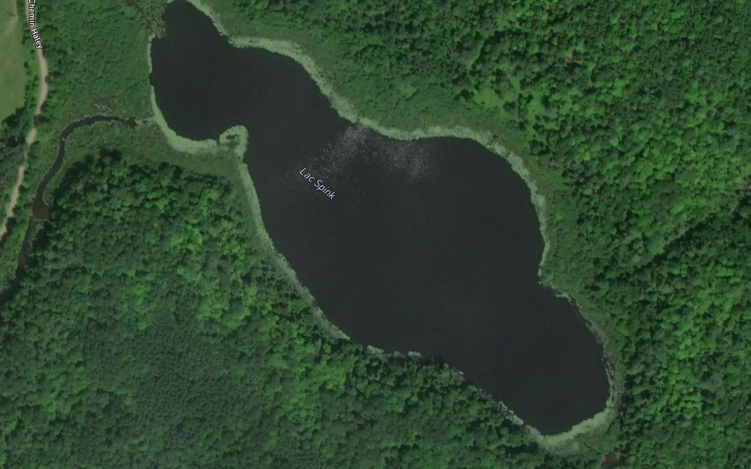 Lac Spink