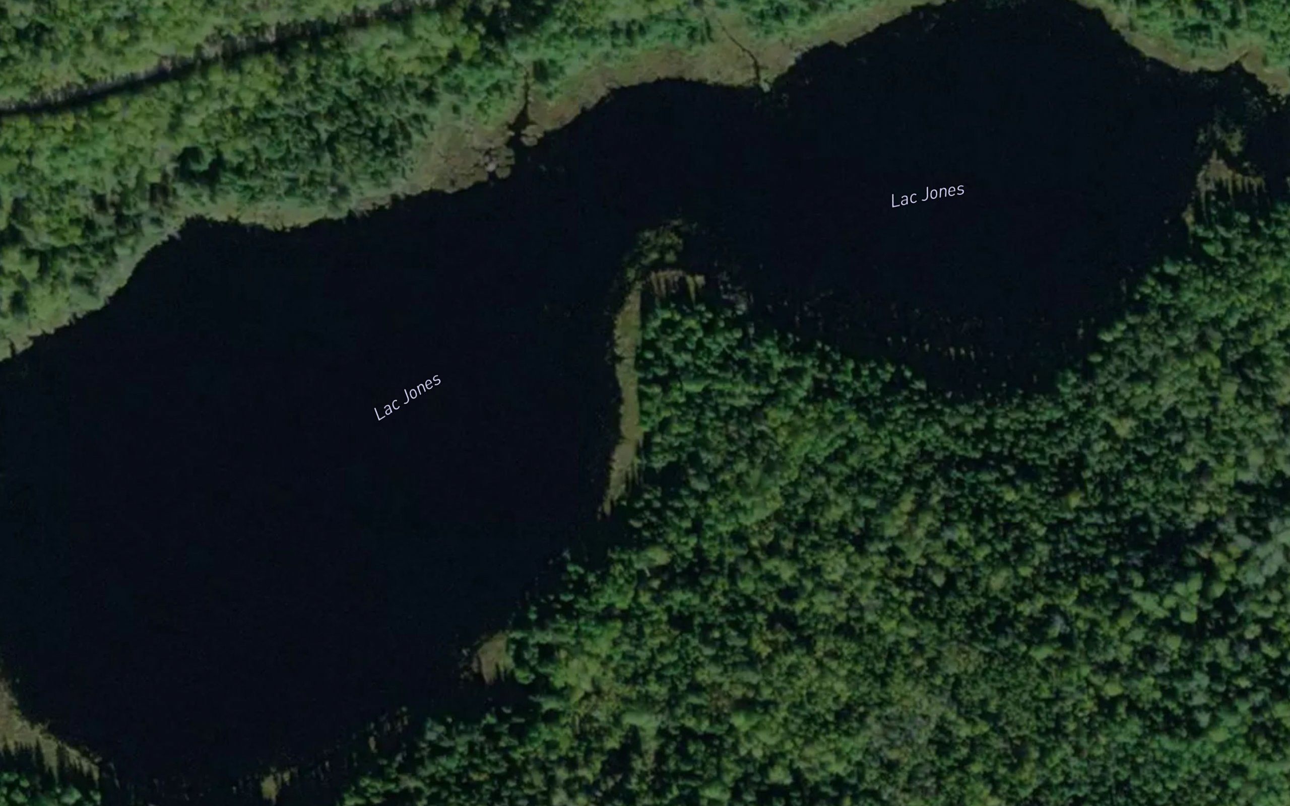 Lac Jones