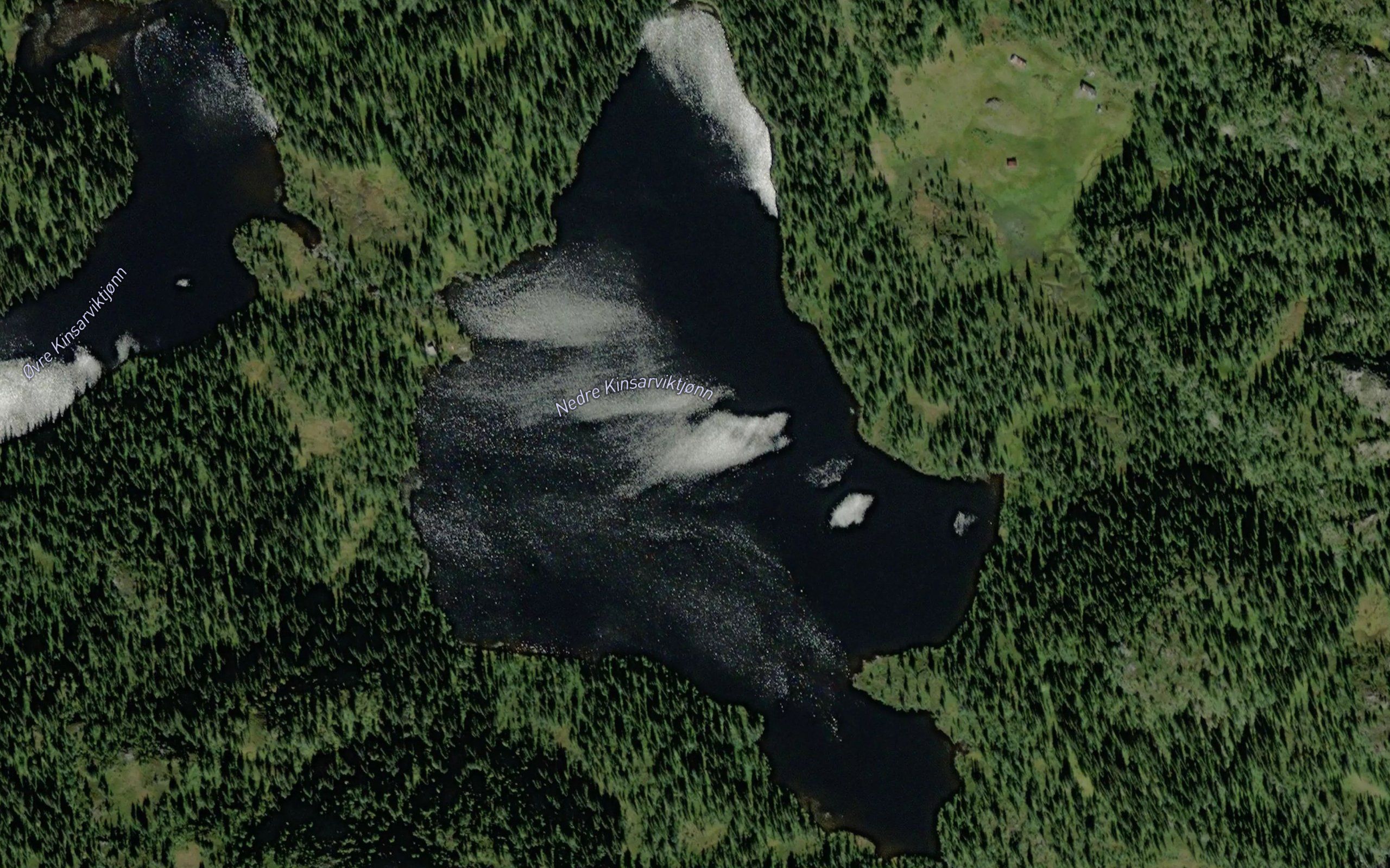 Nedre Kinsarviktjonn