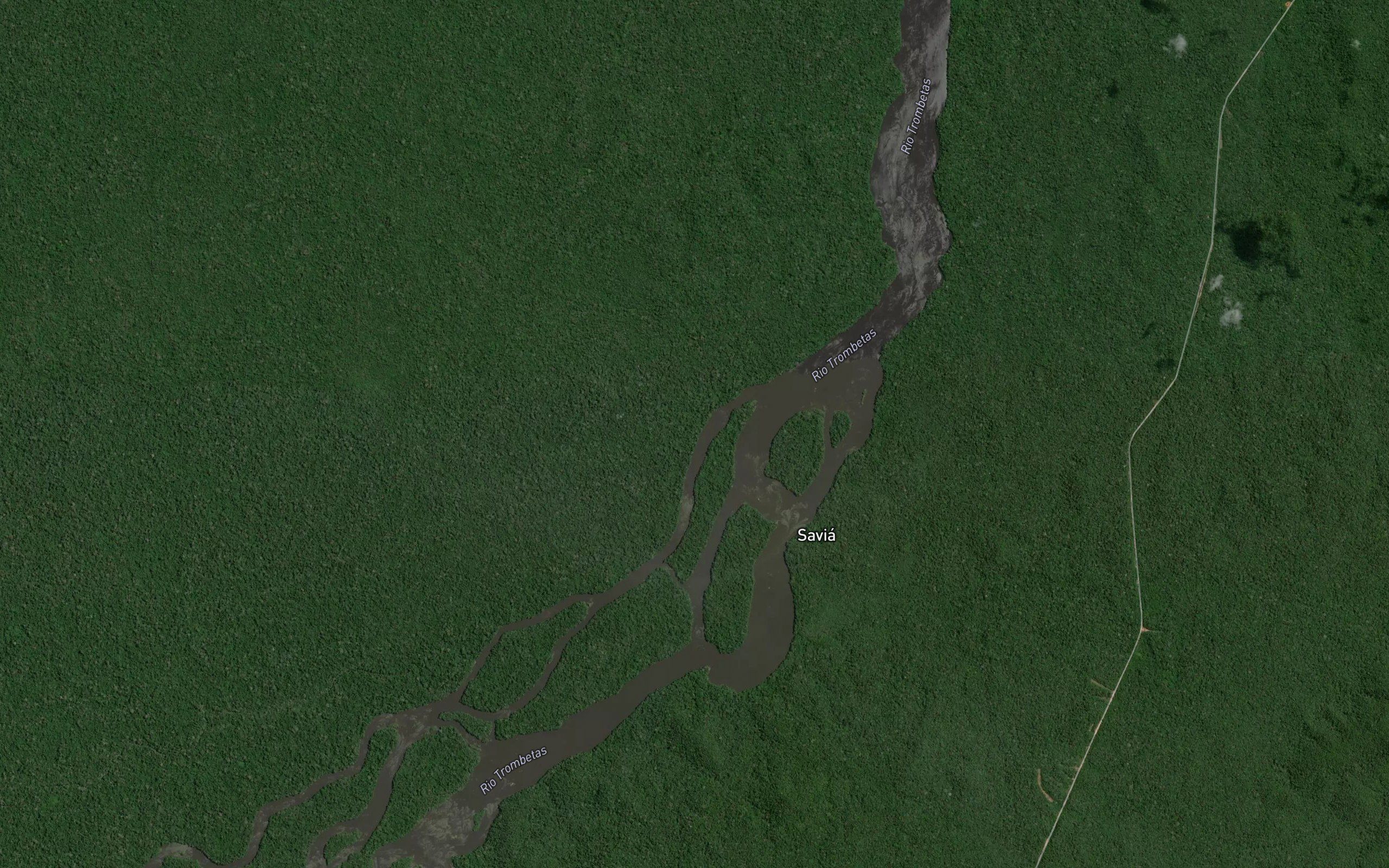 Igarape do Sauia