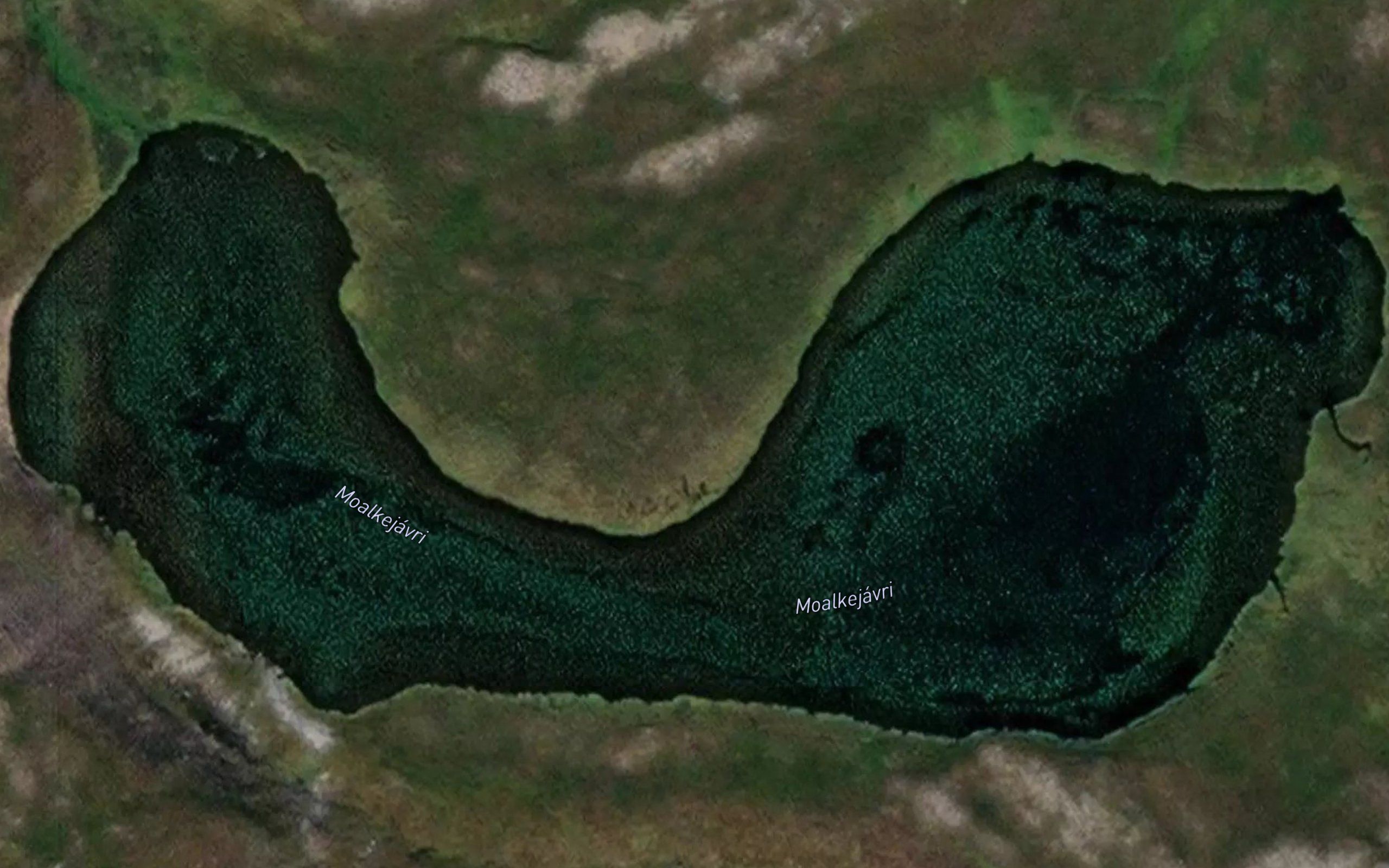 Moalkejavri