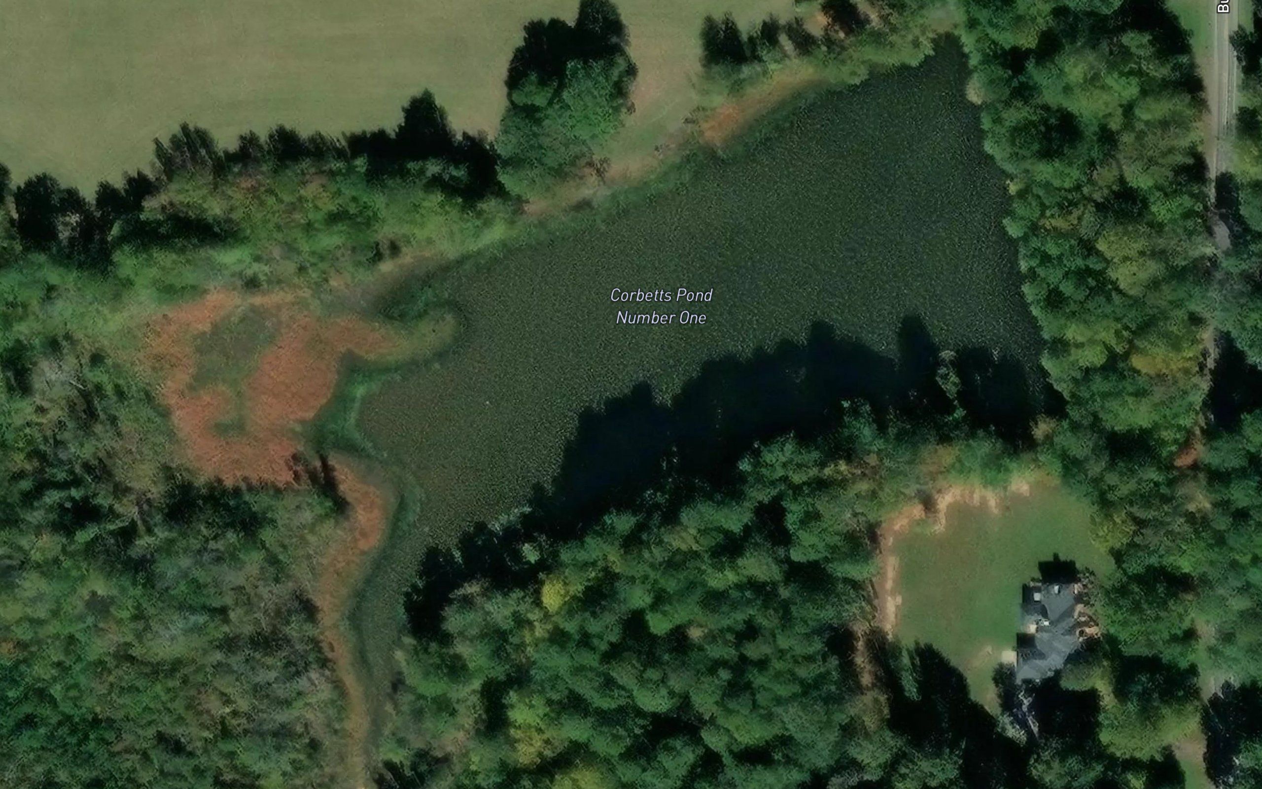 Corbetts Pond Number One