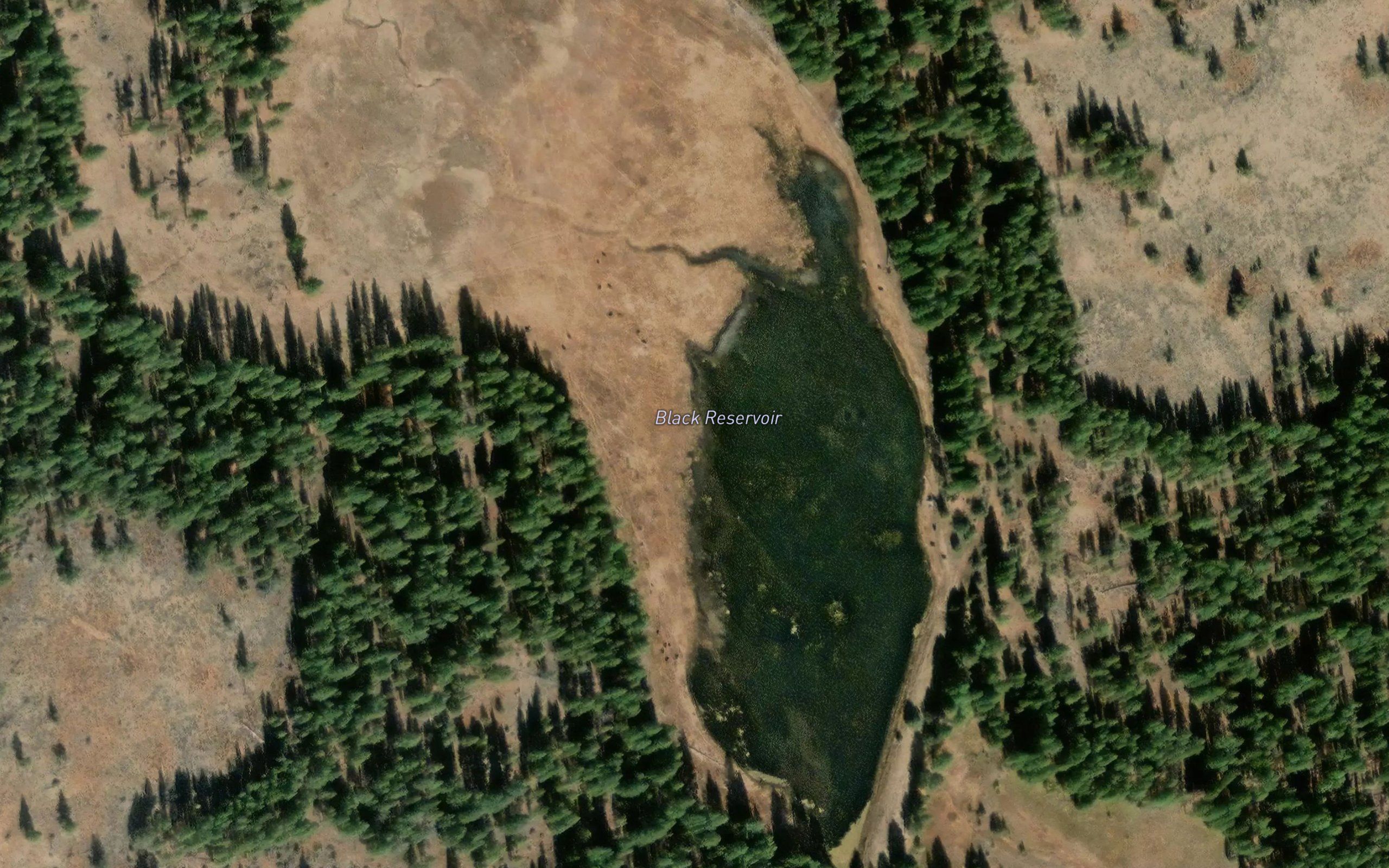 Black Reservoir