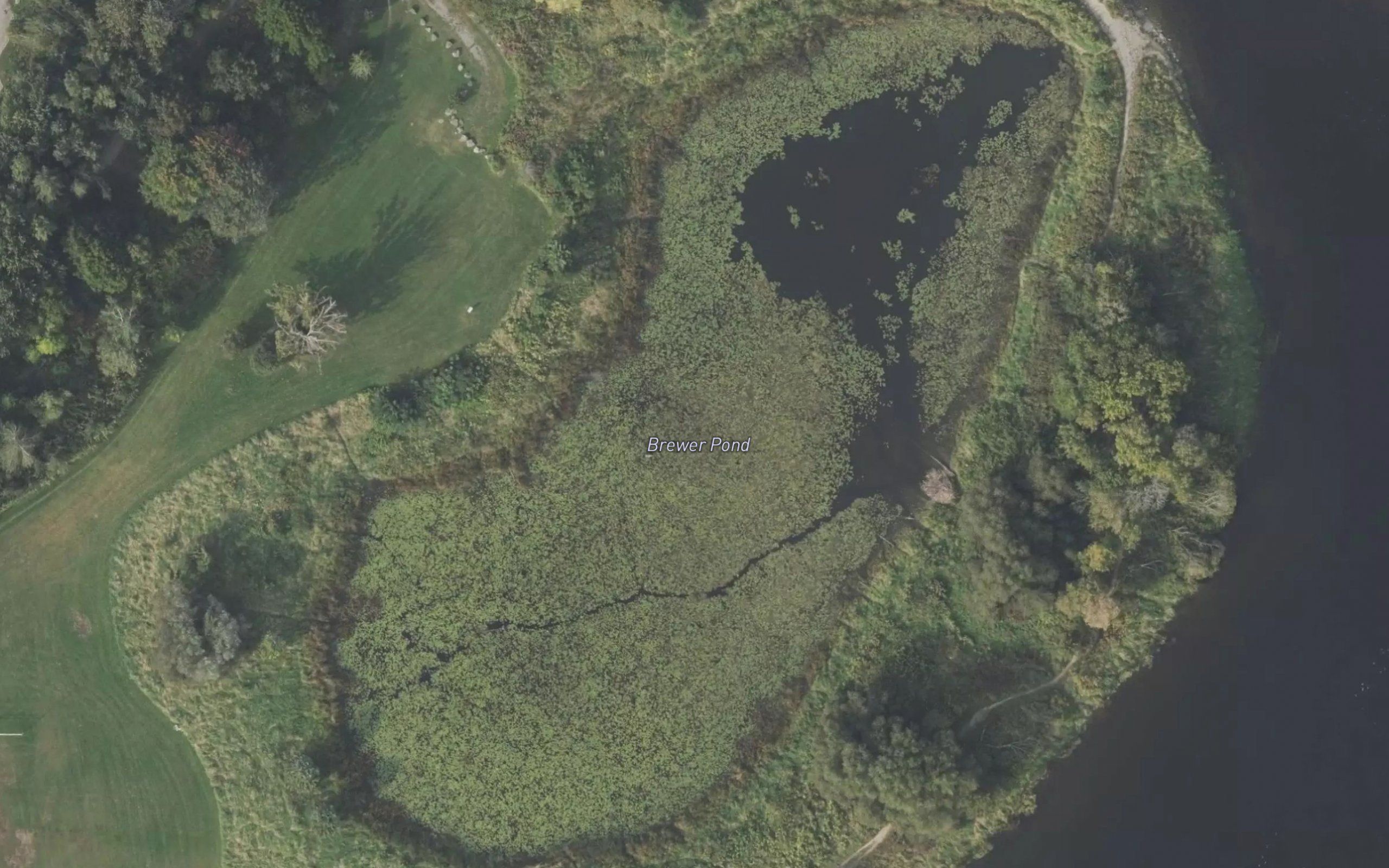 Brewer Park Pond