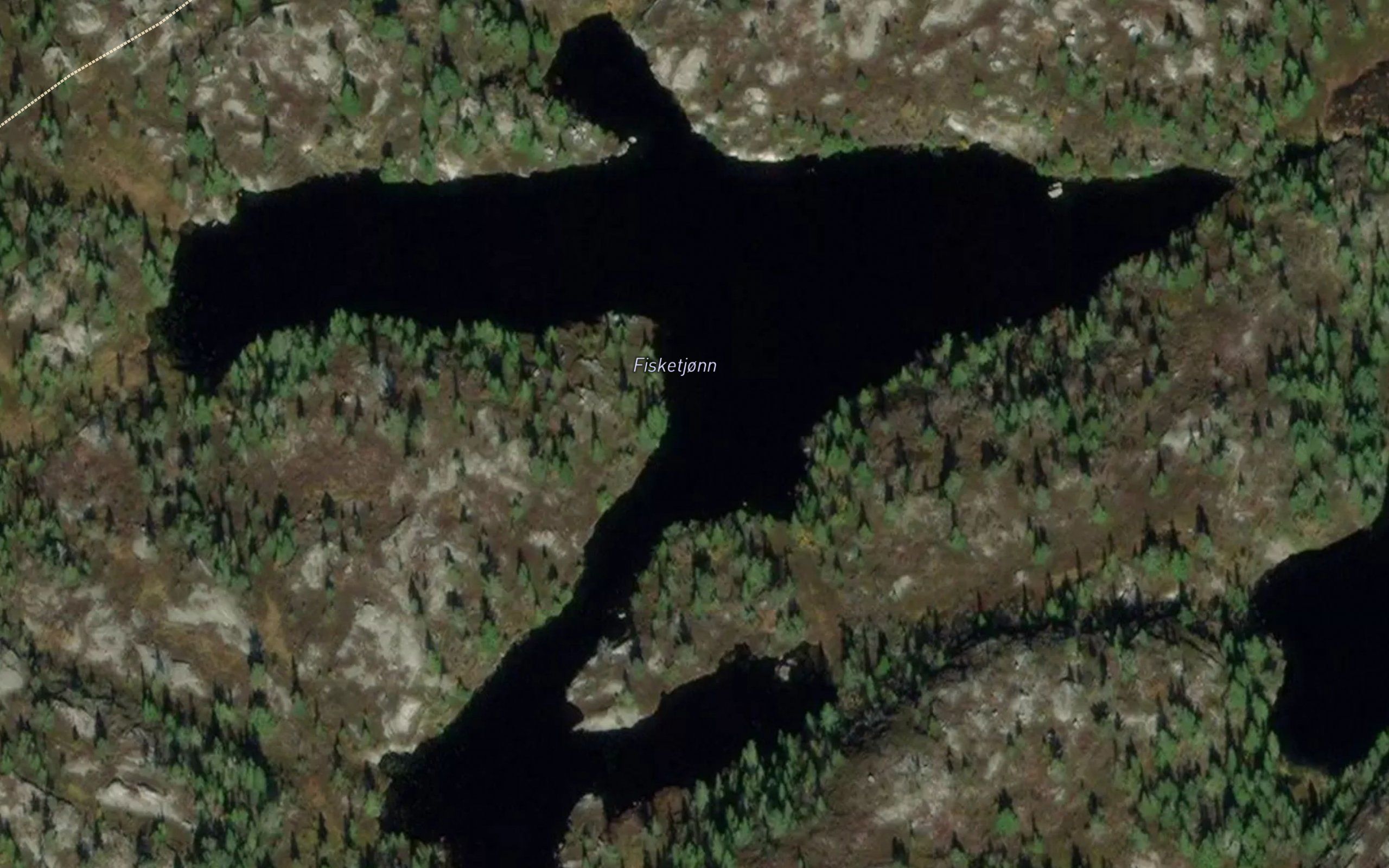 Fisktjorna