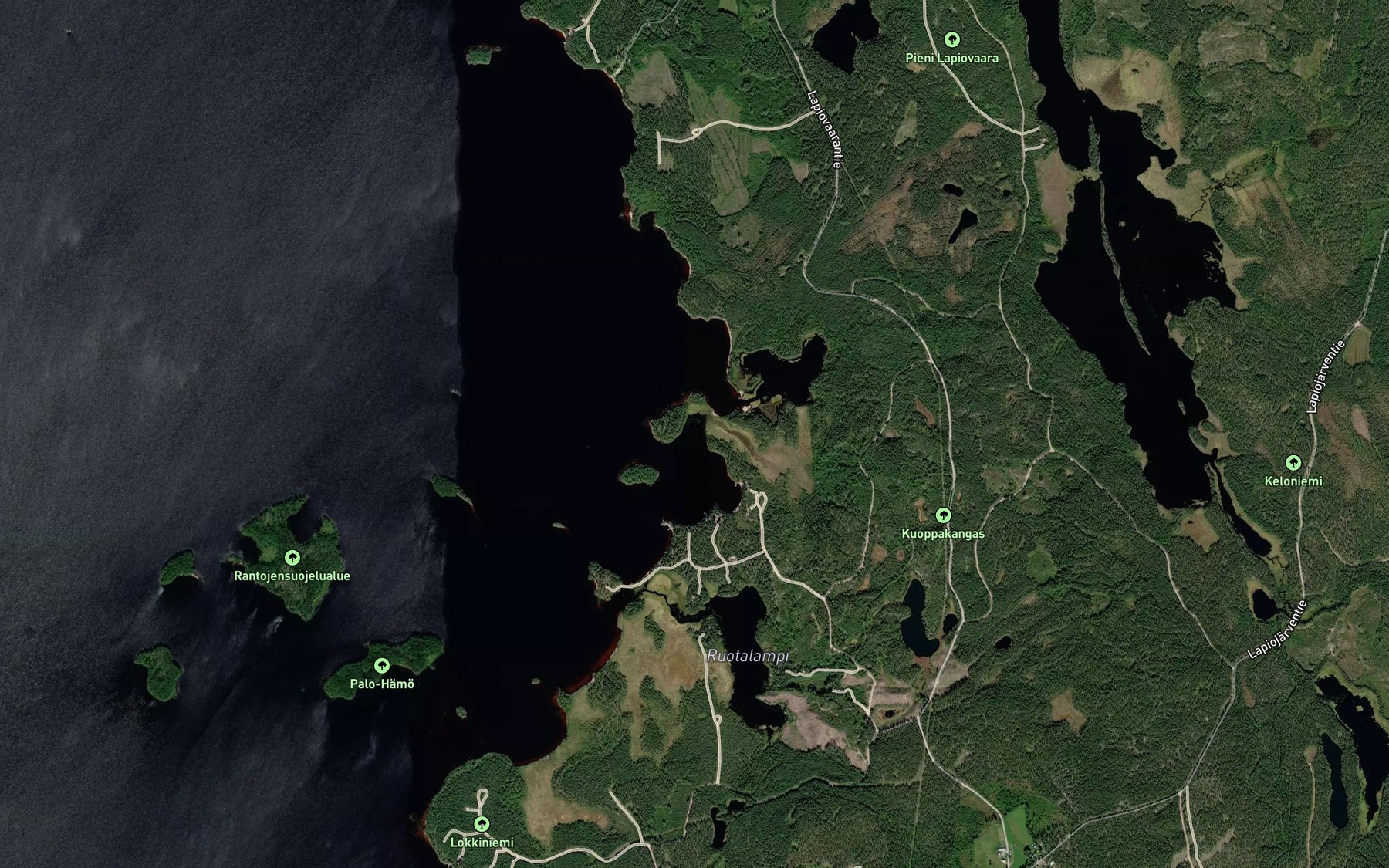 Satellite map of the Pitkalahti