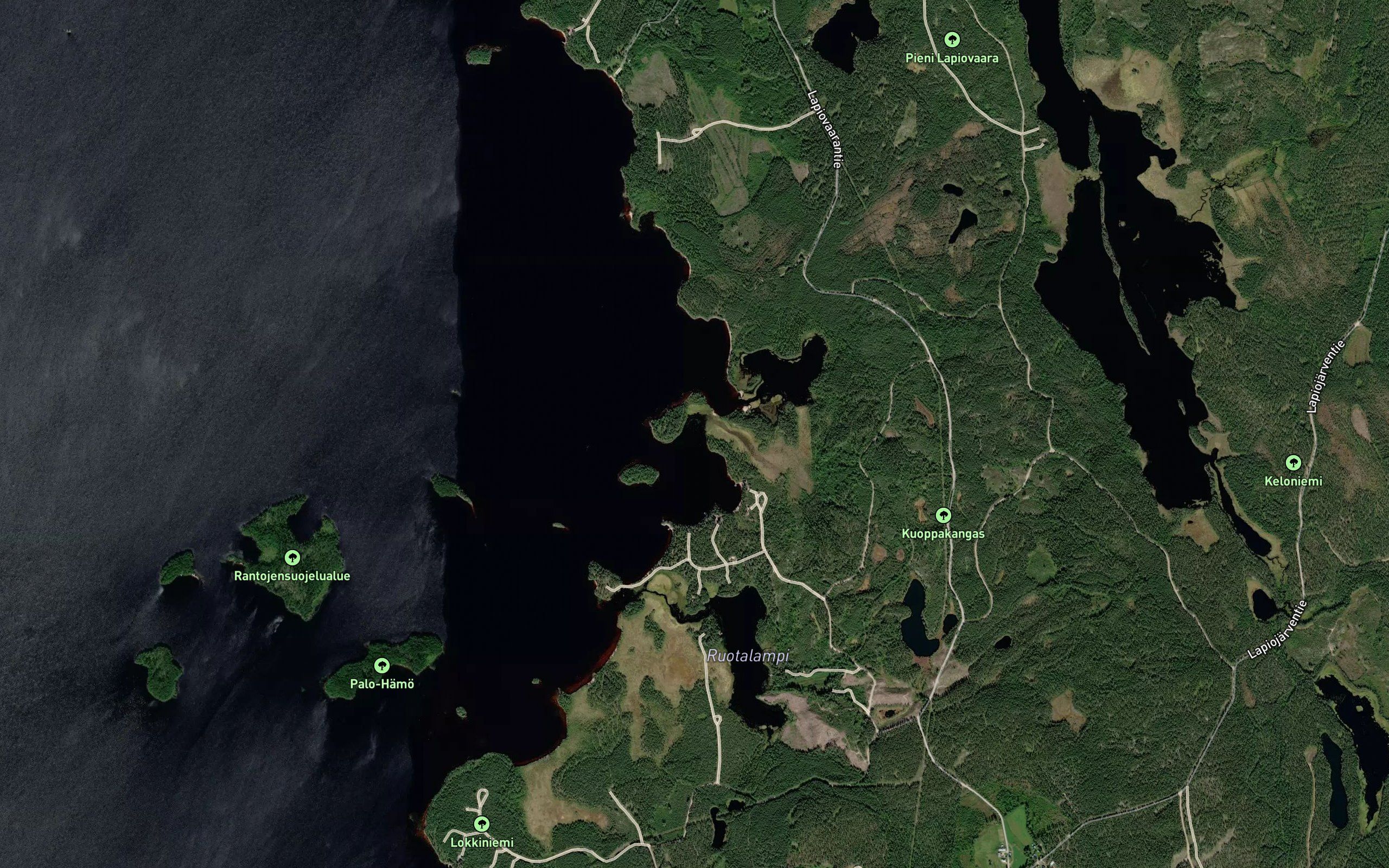 Pitkalahti