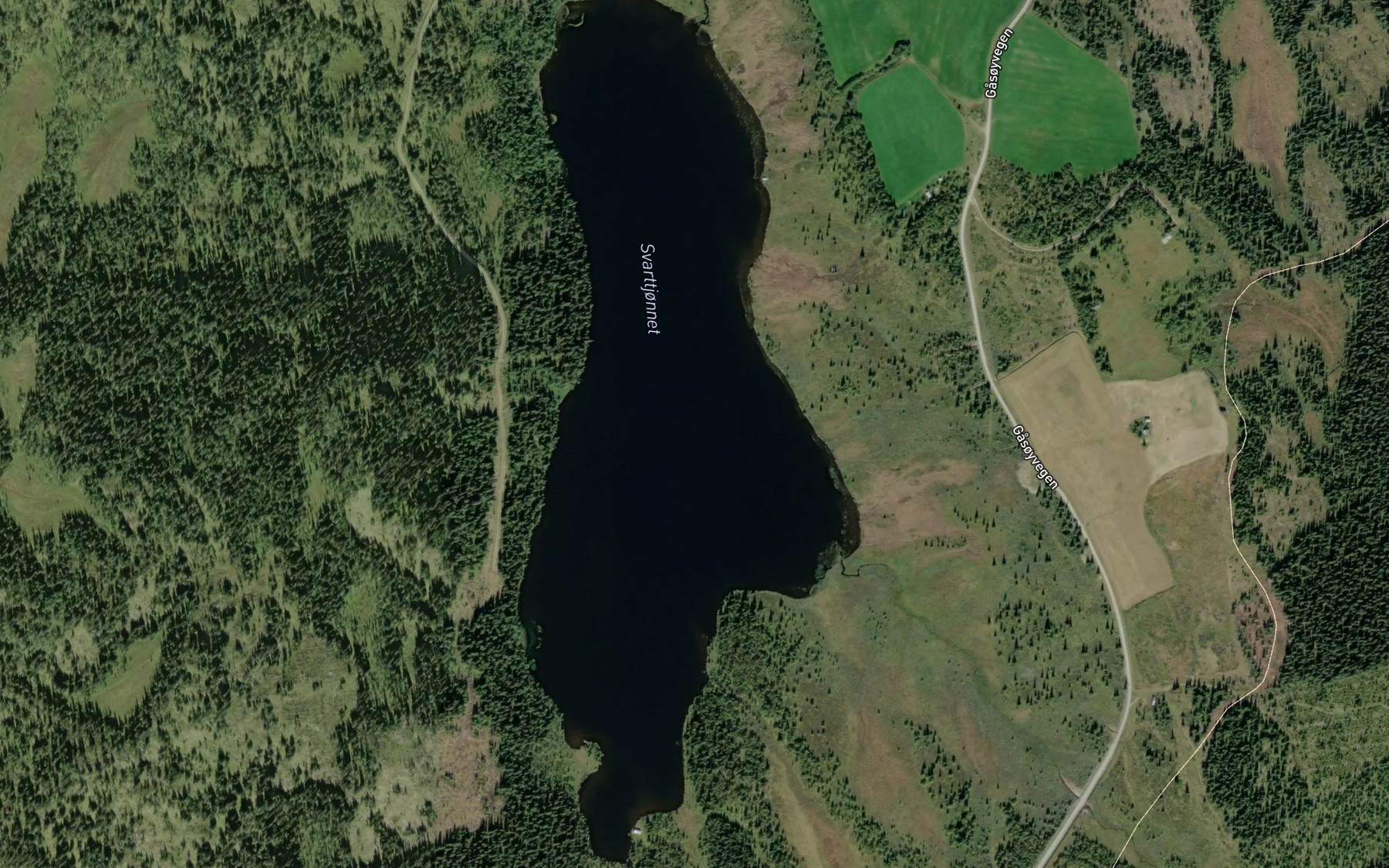 Satellite map of the Svarttjornet