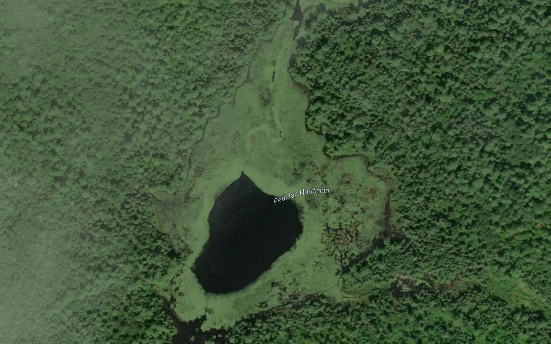 Satellite map of the Petit lac Hurdman