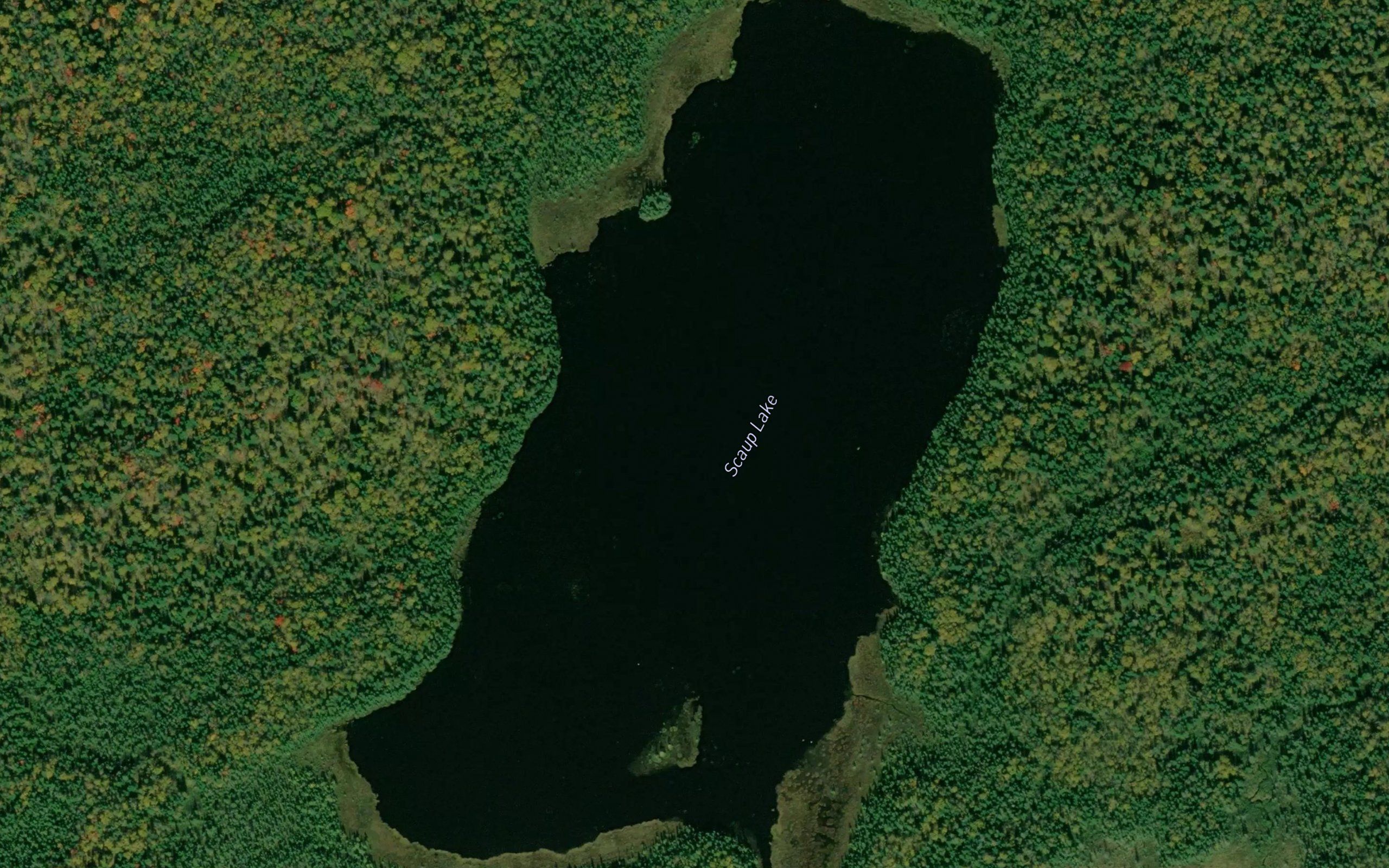 Scaup Lake