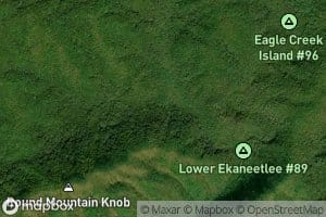 Round Mountain Branch