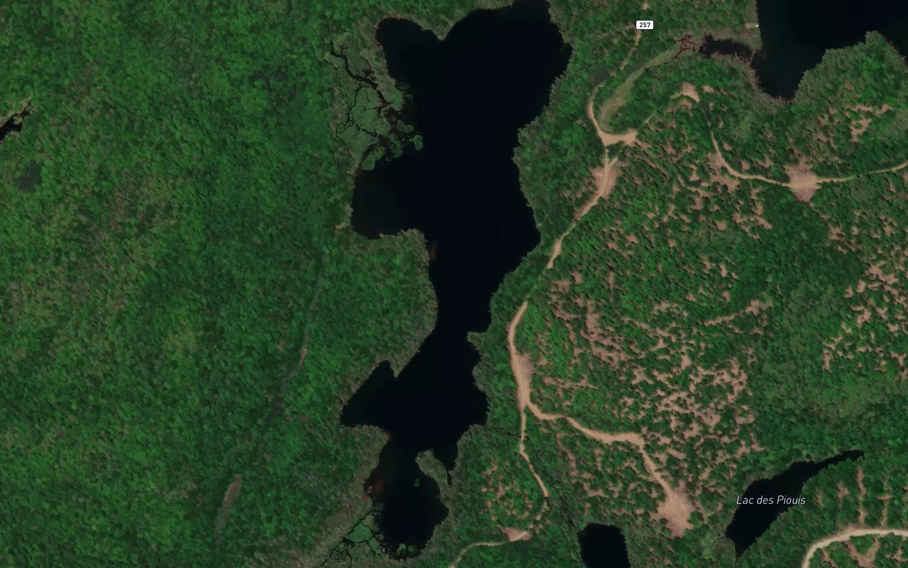 Satellite map of the Petit lac du Rat Musque