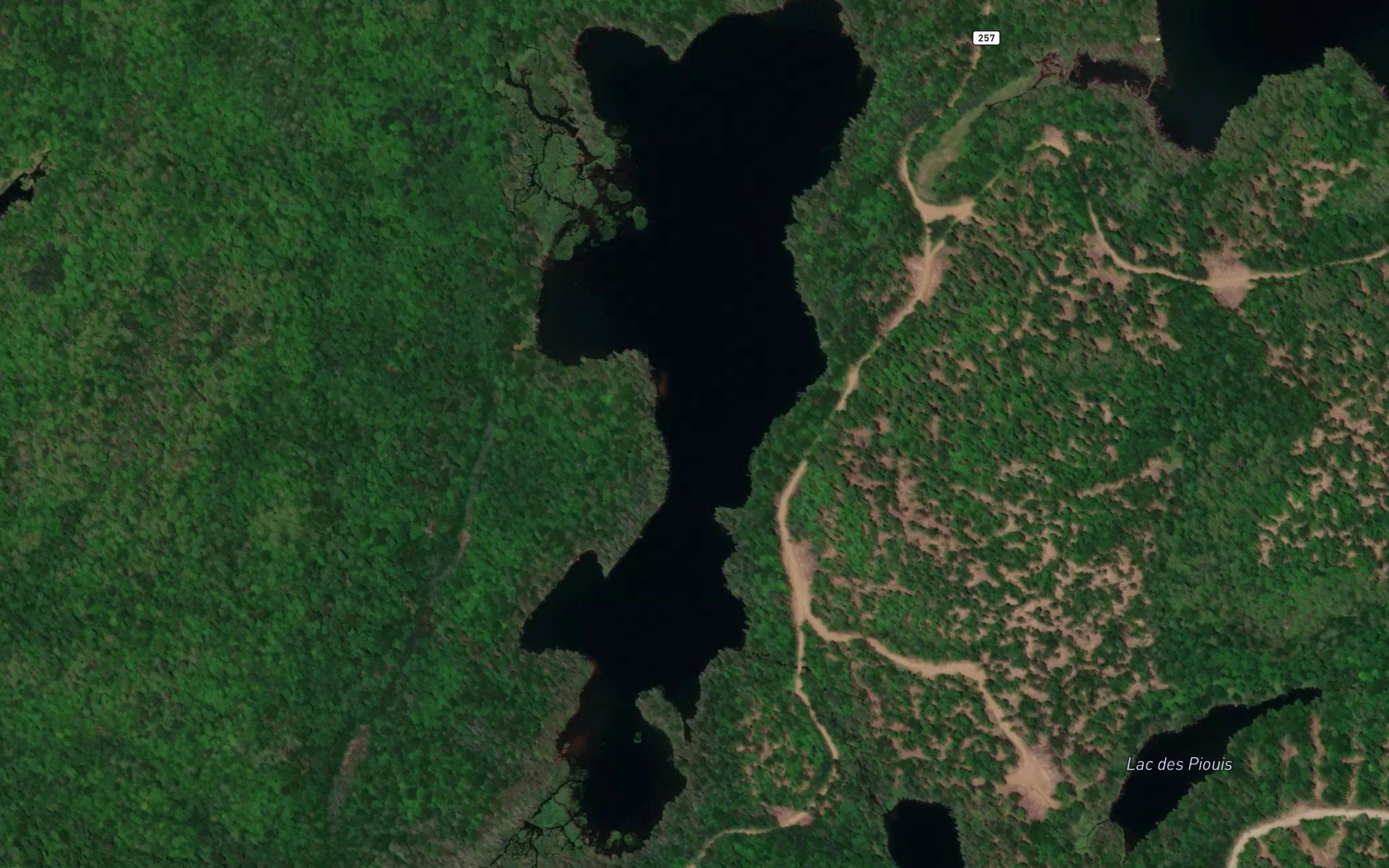 Petit lac du Rat Musque