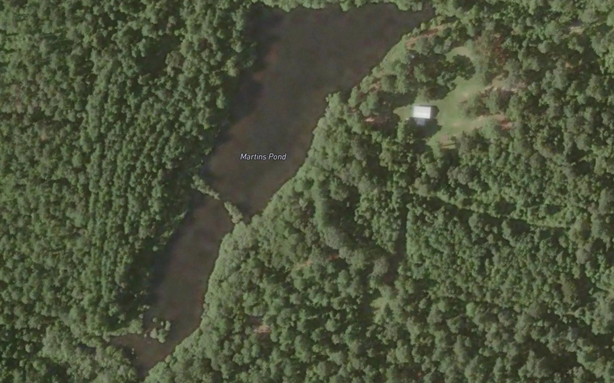 Martins Pond