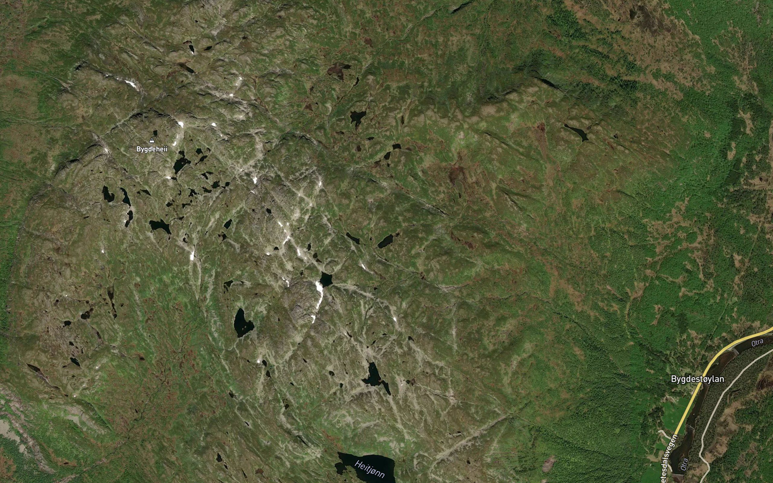 Strigenuttjonni