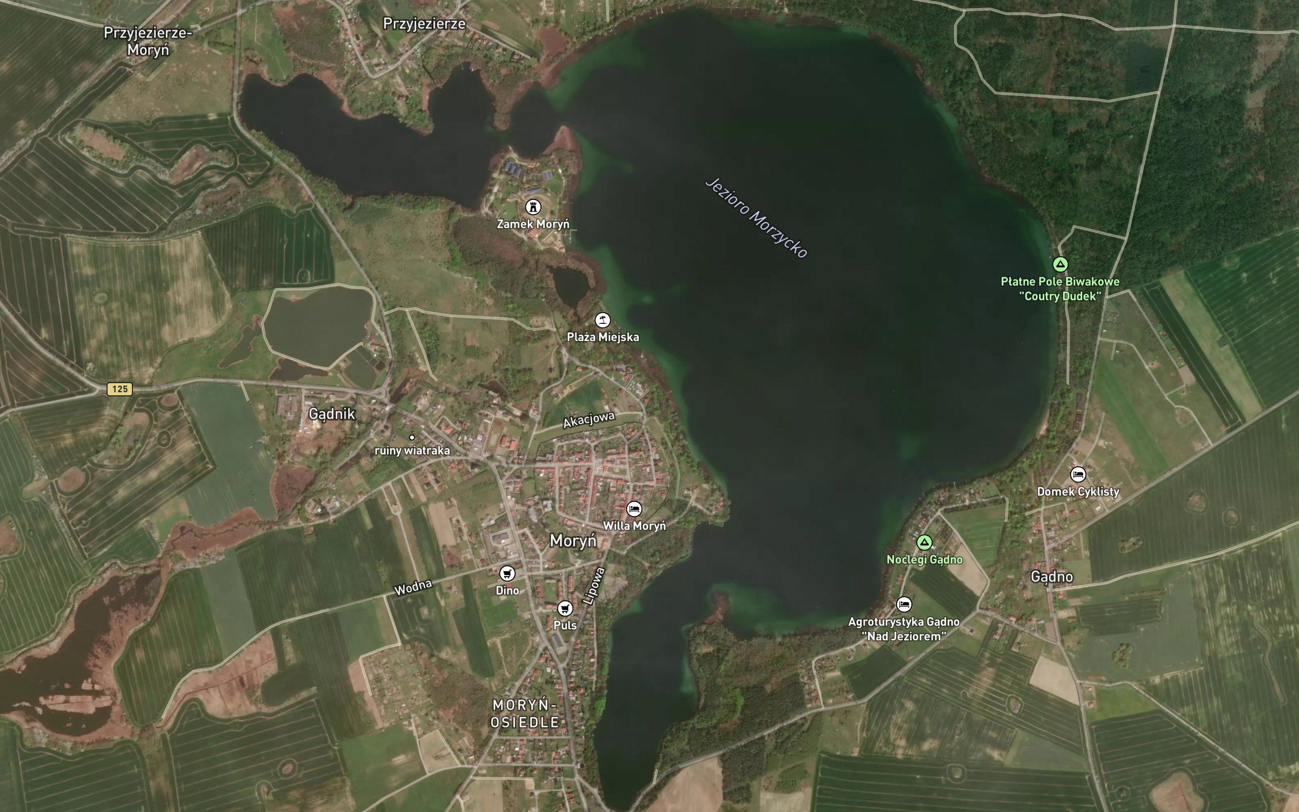 Morzycko