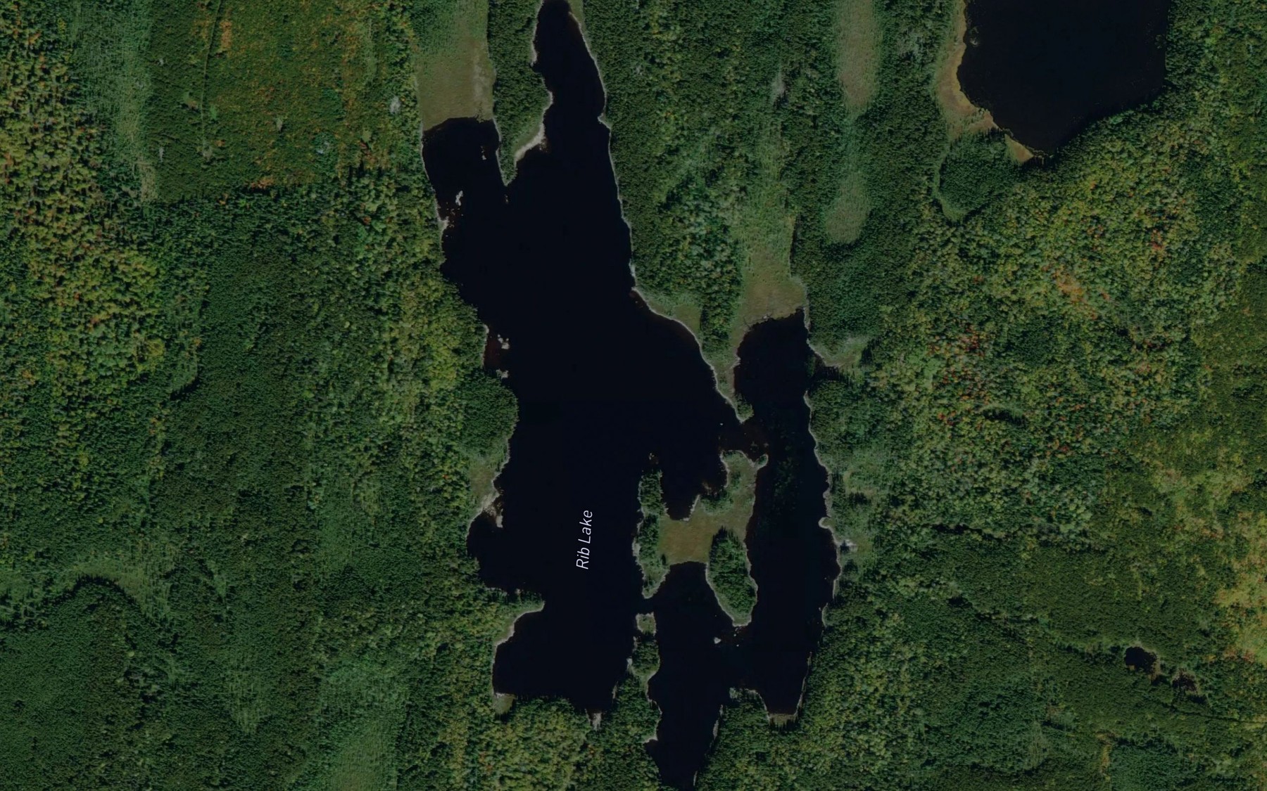 Satellite map of the Rib Lake