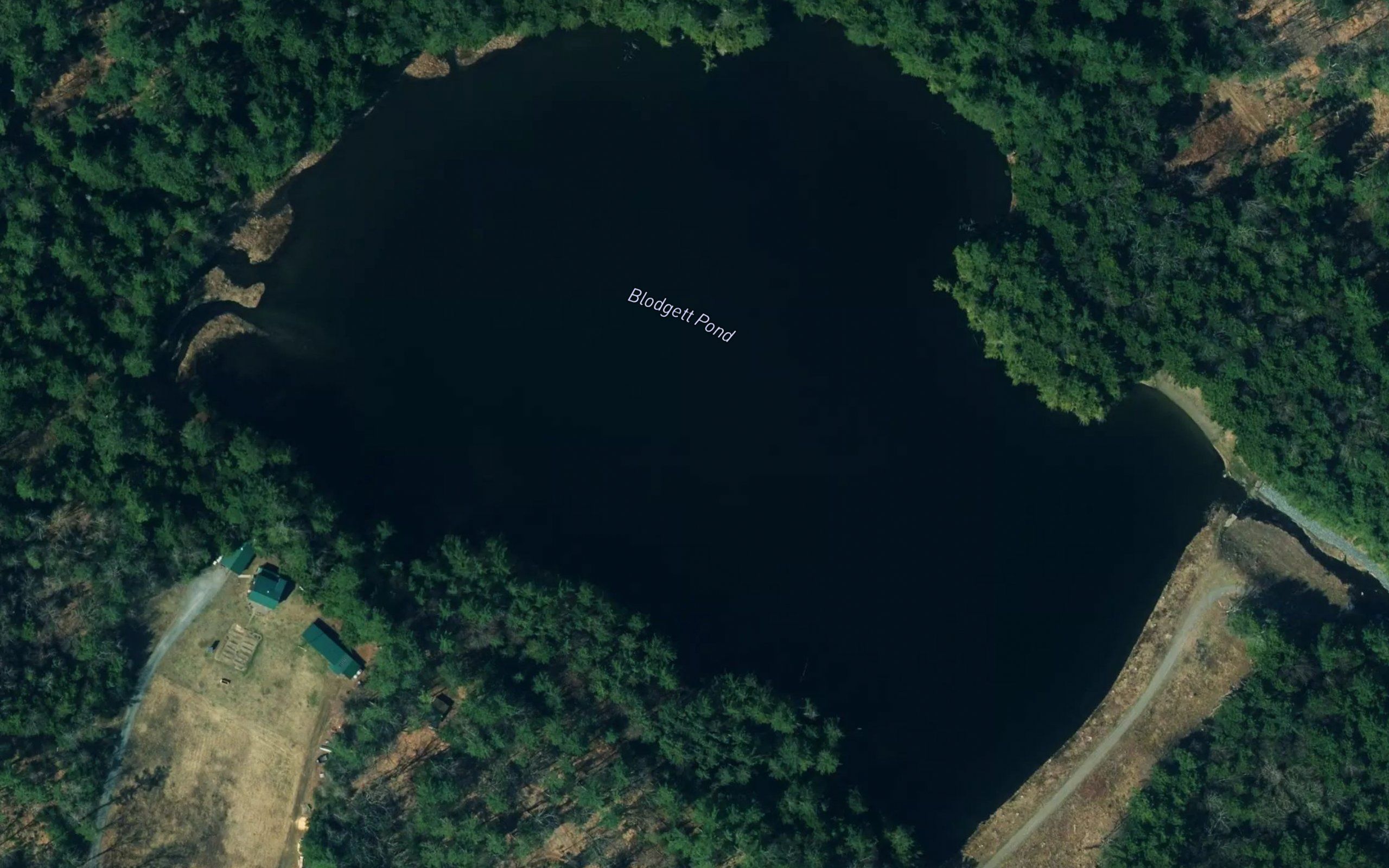 Blodgett Pond