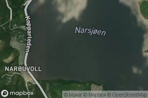 Narsjoen