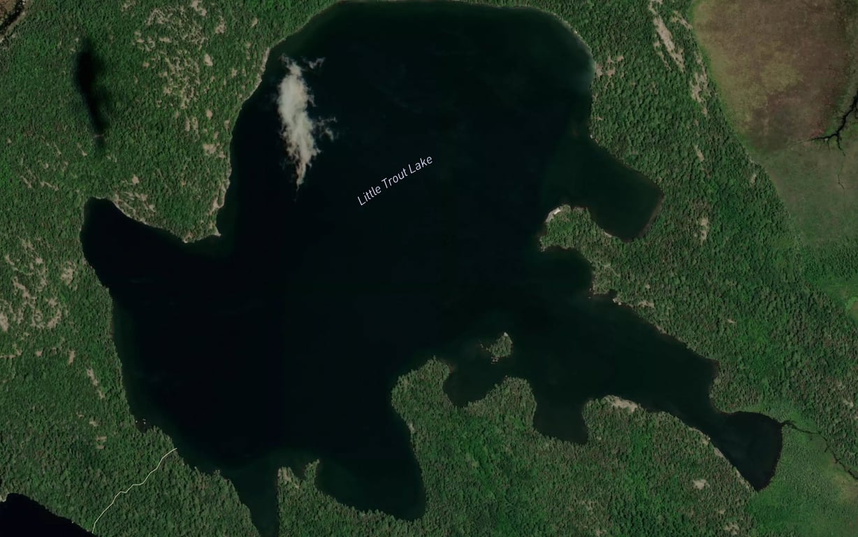 Little Trout Lake Fishing, Saint Louis County | Fishbox